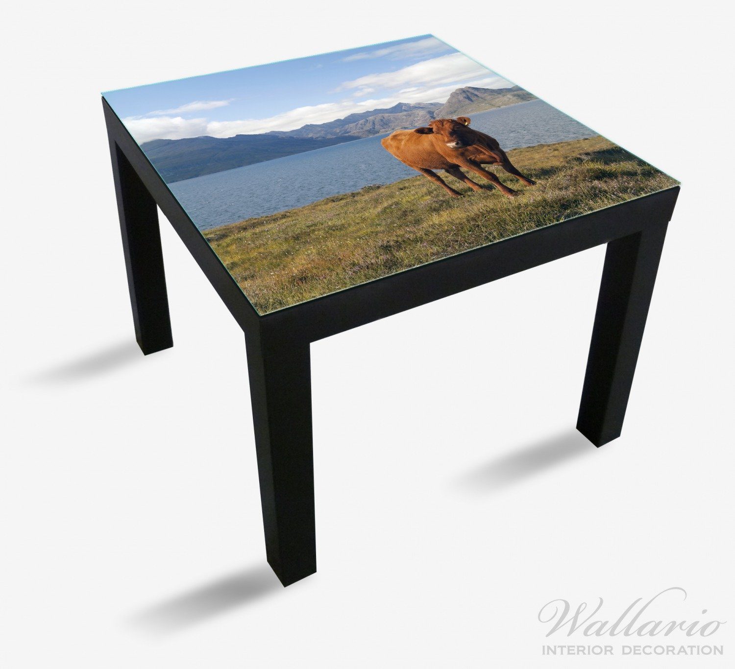 den Lack (1 für St), Tischplatte Tisch Kuh Wallario geeignet Bergen in Ikea