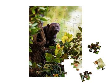 puzzleYOU Puzzle Ein Vielfraß klettert auf einen Baum, 48 Puzzleteile, puzzleYOU-Kollektionen Vielfraß, Tiere des Nordens