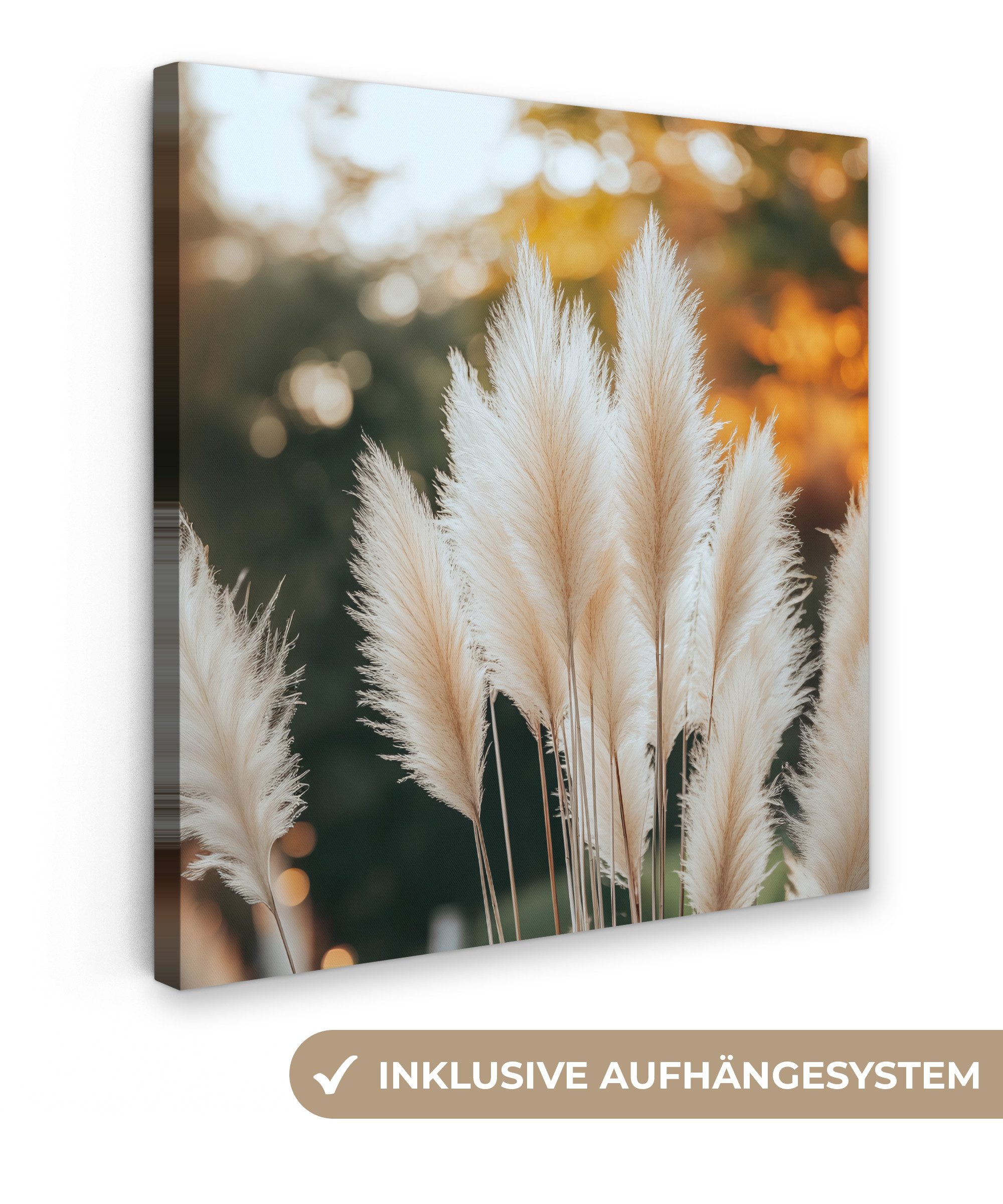 OneMillionCanvasses® Leinwandbild Pampasgras - Federn - günstig online kaufen
