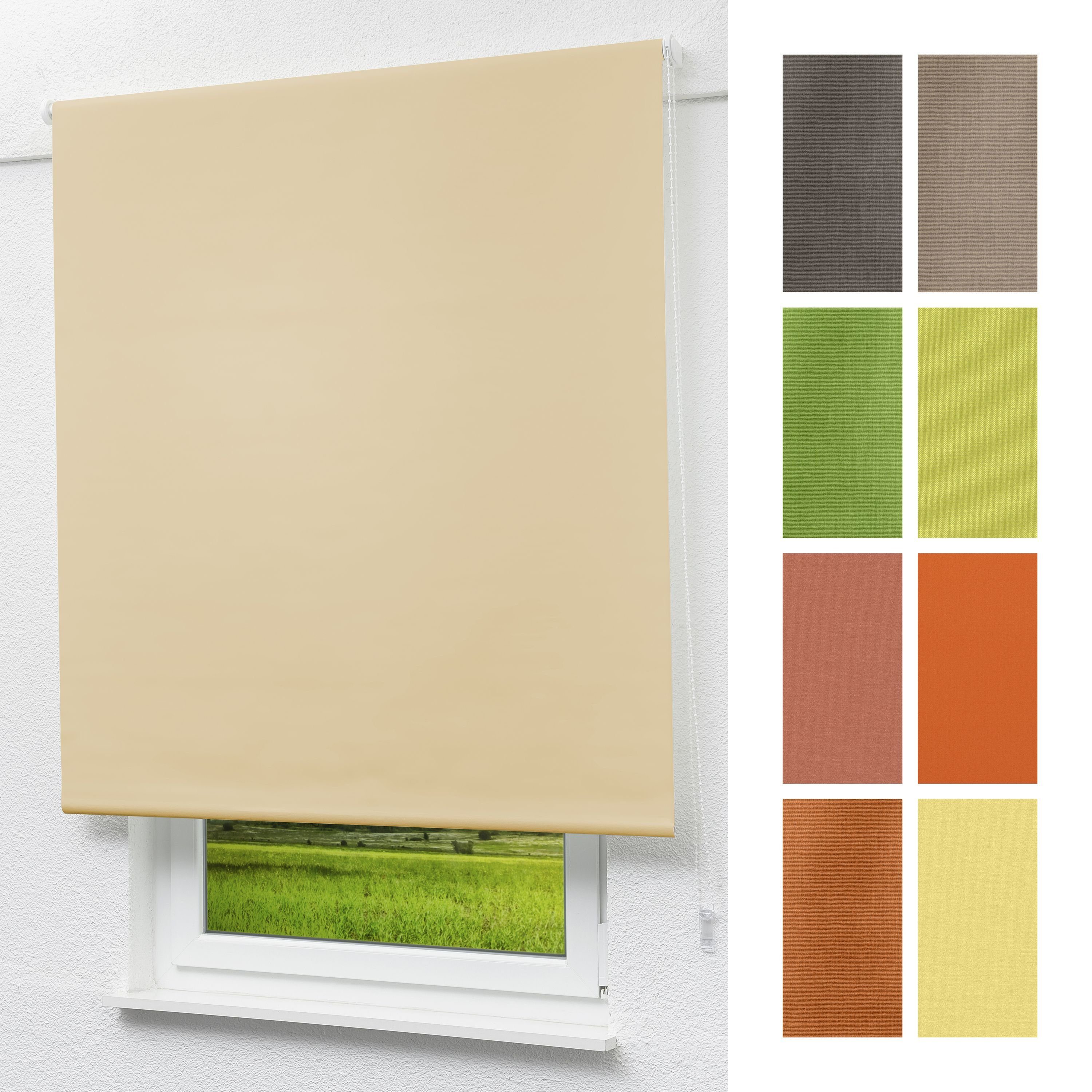 Basisrollo Rollo HxB 175x122.5cm Tageslicht LYSEL®, blickdicht, Apricot,