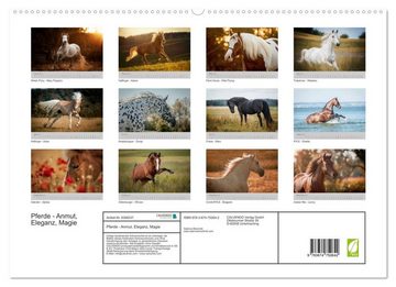 CALVENDO Wandkalender Pferde - Anmut, Eleganz, Magie (Premium, hochwertiger DIN A2 Wandkalender 2023, Kunstdruck in Hochglanz)