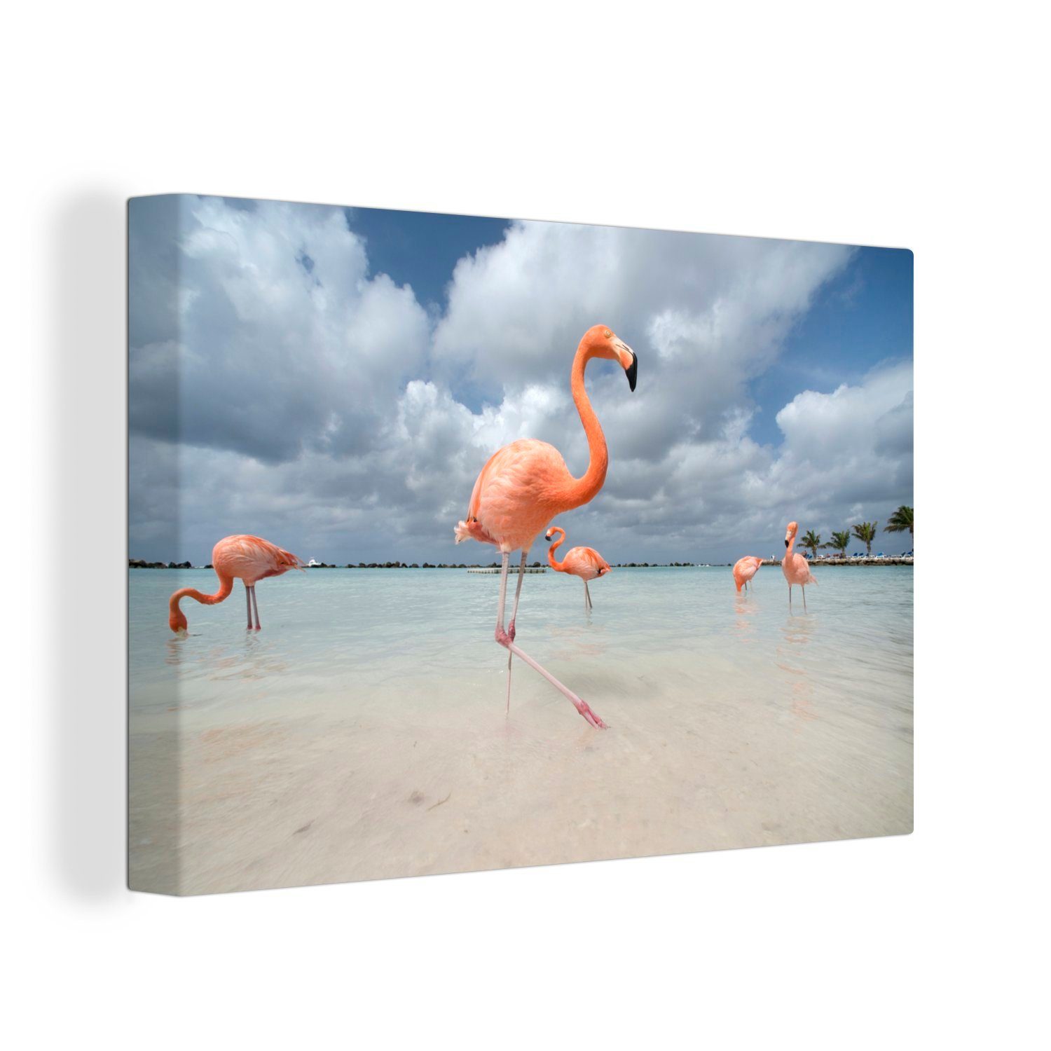 OneMillionCanvasses® Leinwandbild Flamingos am Flamingo-Strand in Aruba, (1 St), Wandbild Leinwandbilder, Aufhängefertig, Wanddeko, 30x20 cm