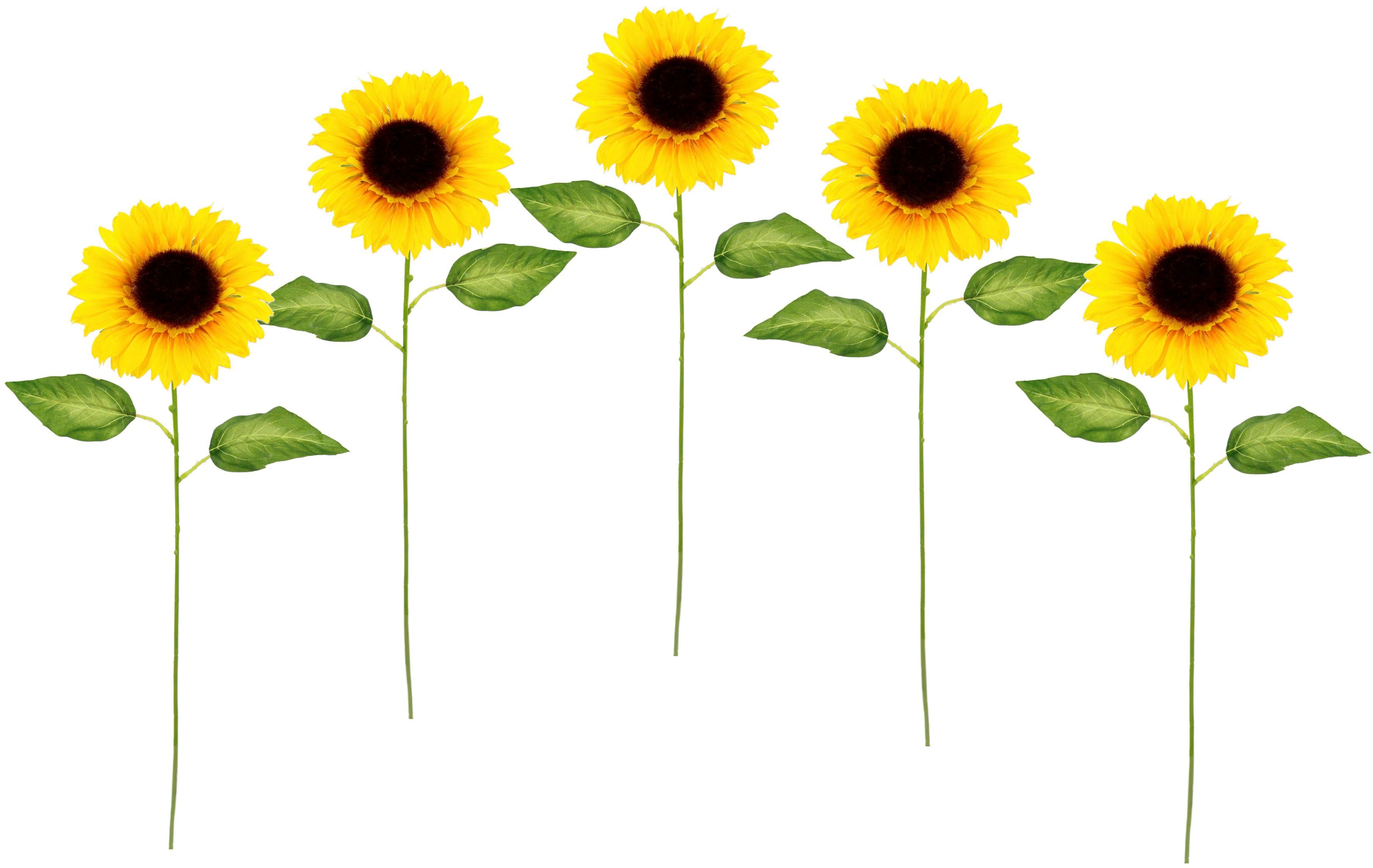 Set Sonnenblume, cm, Kunstblume Stielblume, Einzelblume, I.GE.A., 77 Höhe 5er