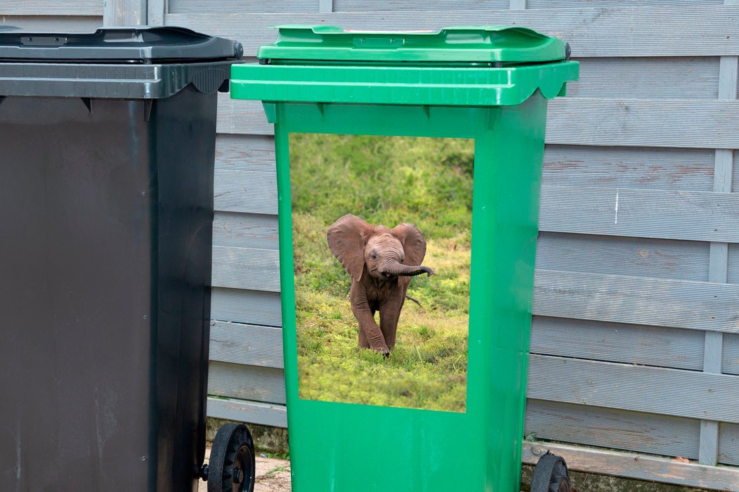 Mülltonne, (1 MuchoWow - nach Sticker, Mädchen der - Junge auf Beute Container, St), Kinder Suche - - Abfalbehälter Wandsticker Mülleimer-aufkleber, Elefantenbaby