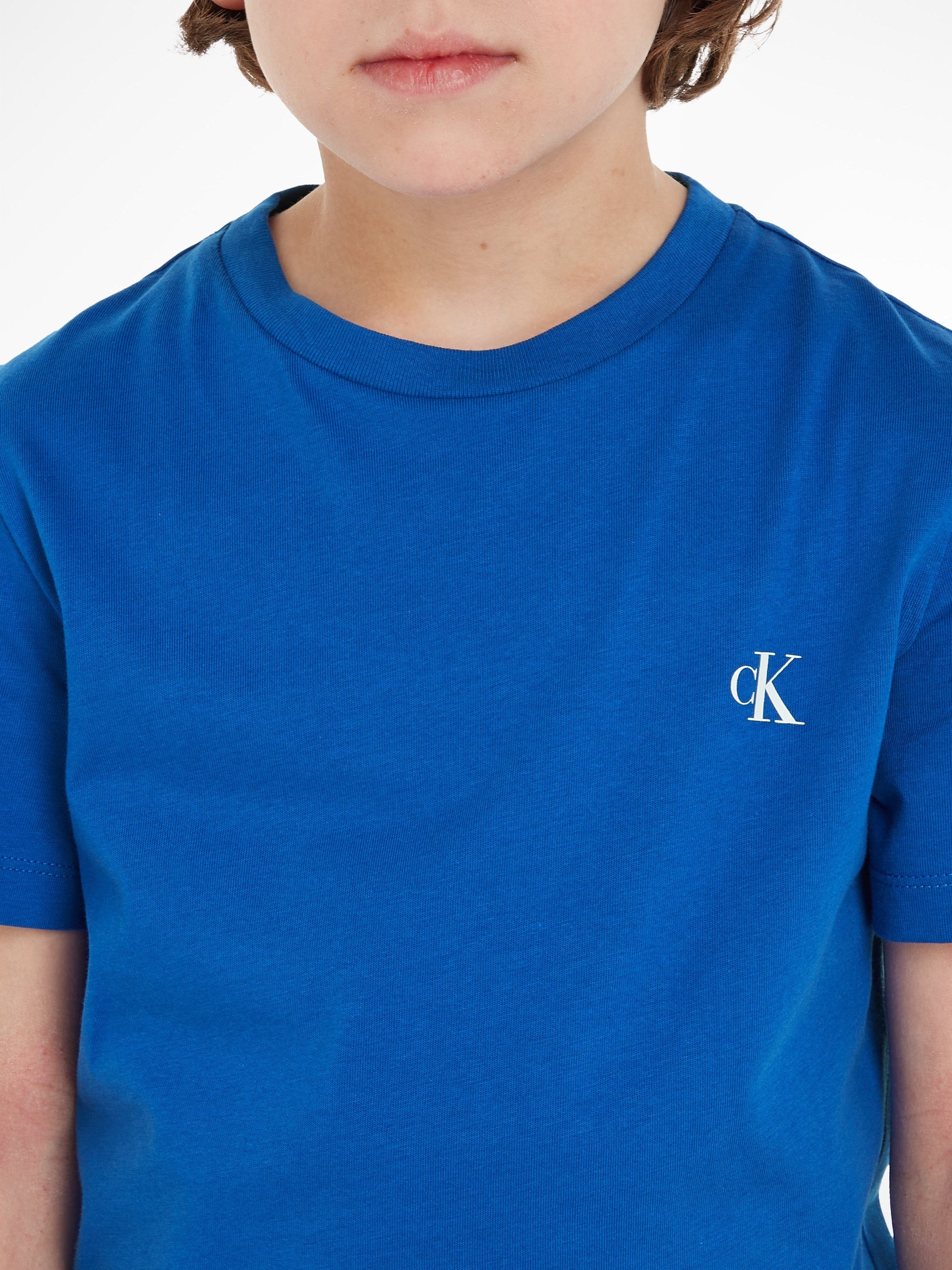 Klein Calvin blau-grau TOP mit T-Shirt Jeans Logodruck MONOGRAM 2-PACK
