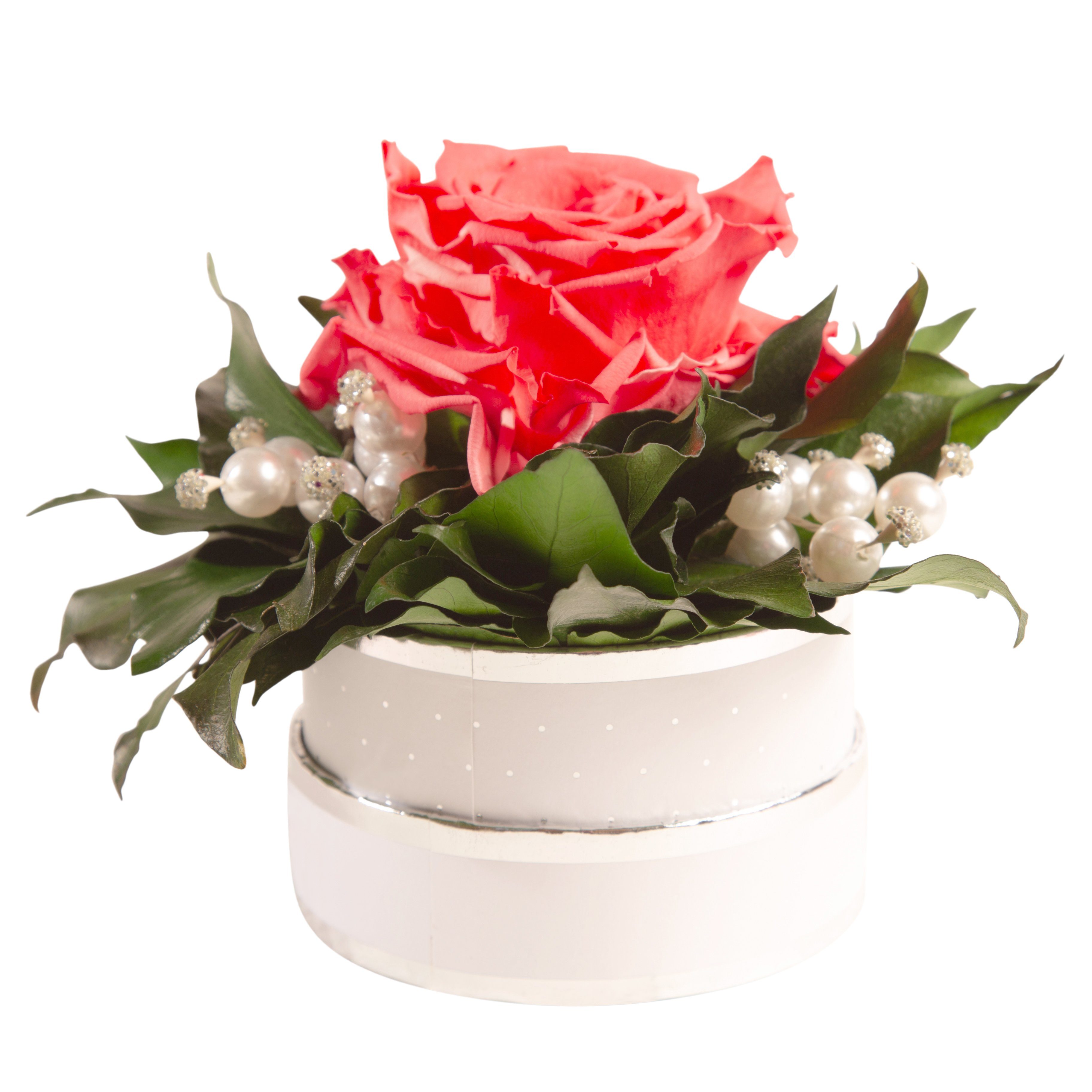 Kunstblume Infinity Rosenbox Diamonds and Pearls günstig online kaufen