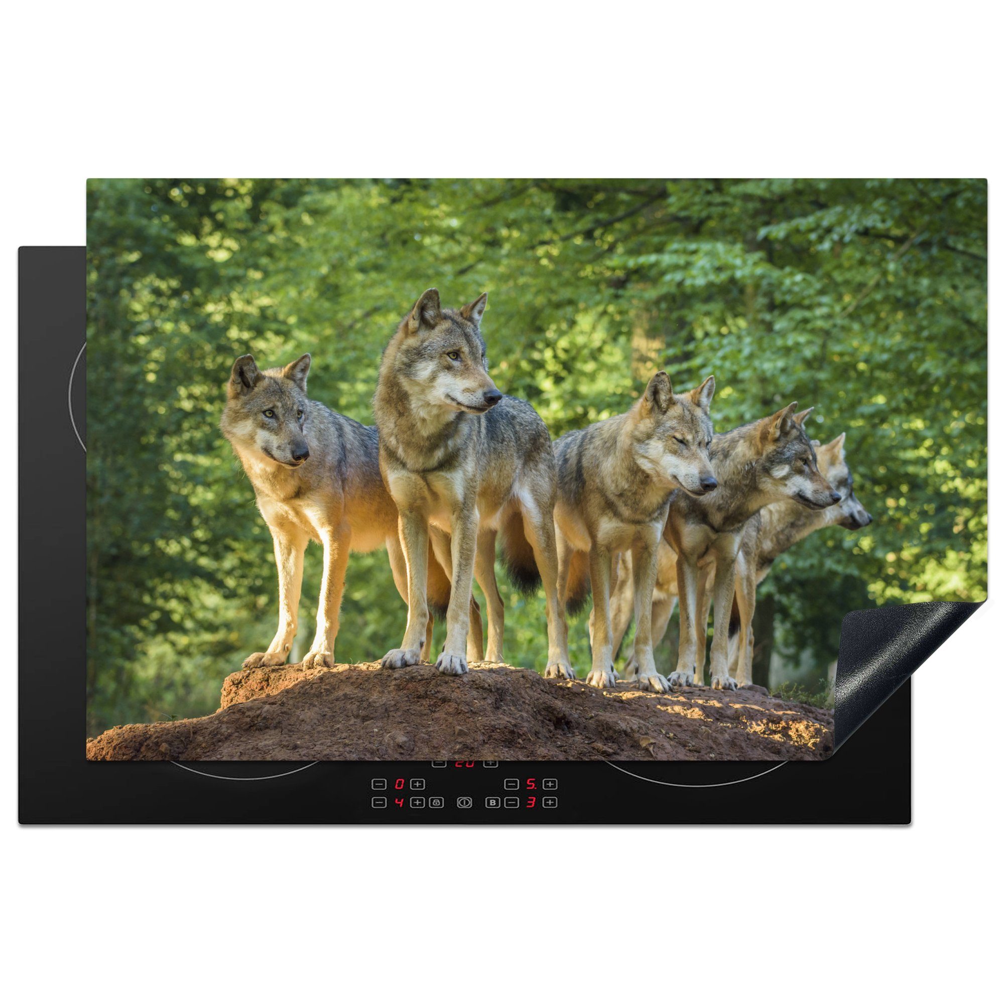 MuchoWow Herdblende-/Abdeckplatte Wolf - Braun - Wald, Vinyl, (1 tlg), 81x52 cm, Induktionskochfeld Schutz für die küche, Ceranfeldabdeckung
