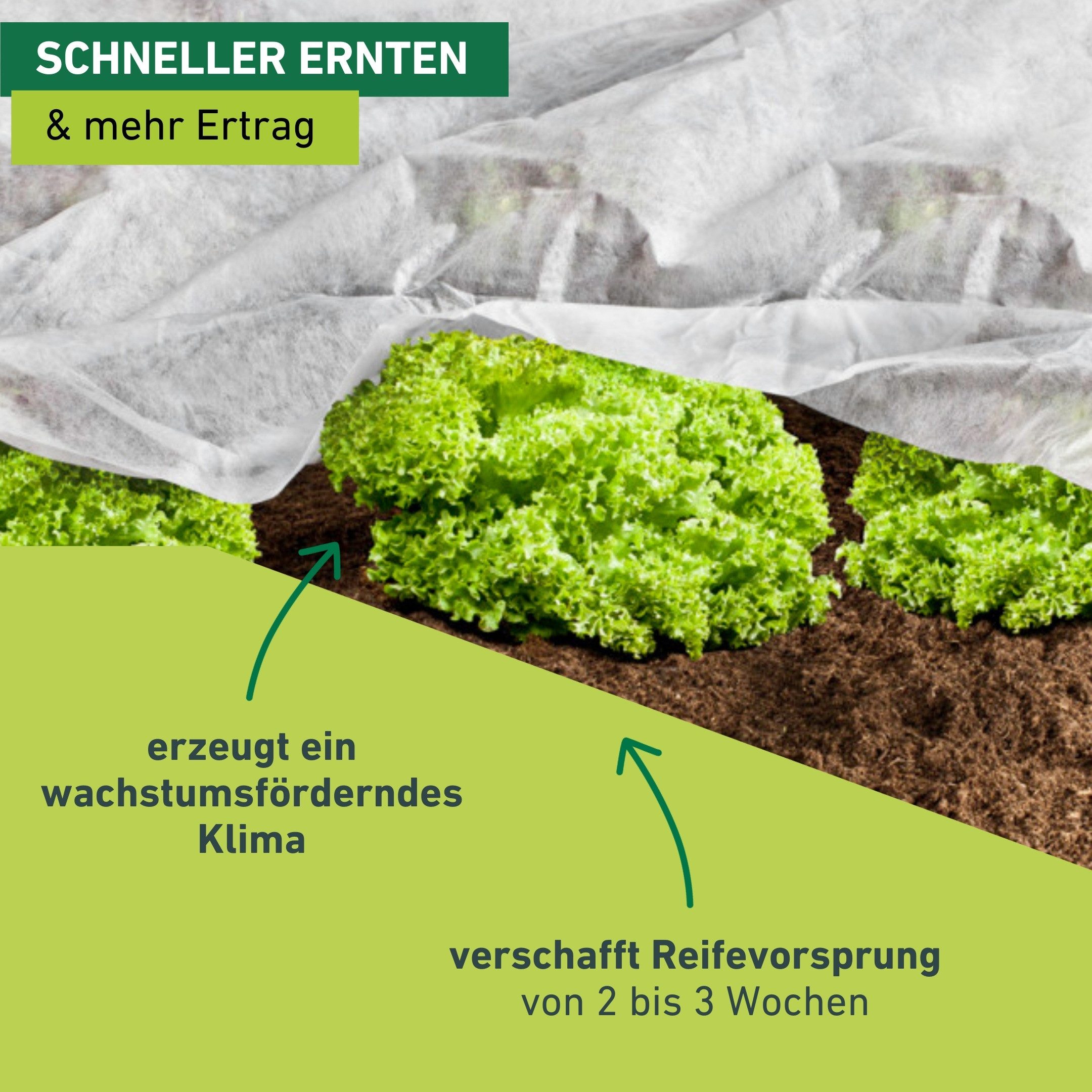 Windhager Gartenvlies für Hoch-, Freilandbeete, ÖKO Wachstumsvlies zur Anzucht von Pflanzen, (1-St), erhältlich in 5 x 1,5 m oder 10 x 1,5 m, 18 g/m², weiß