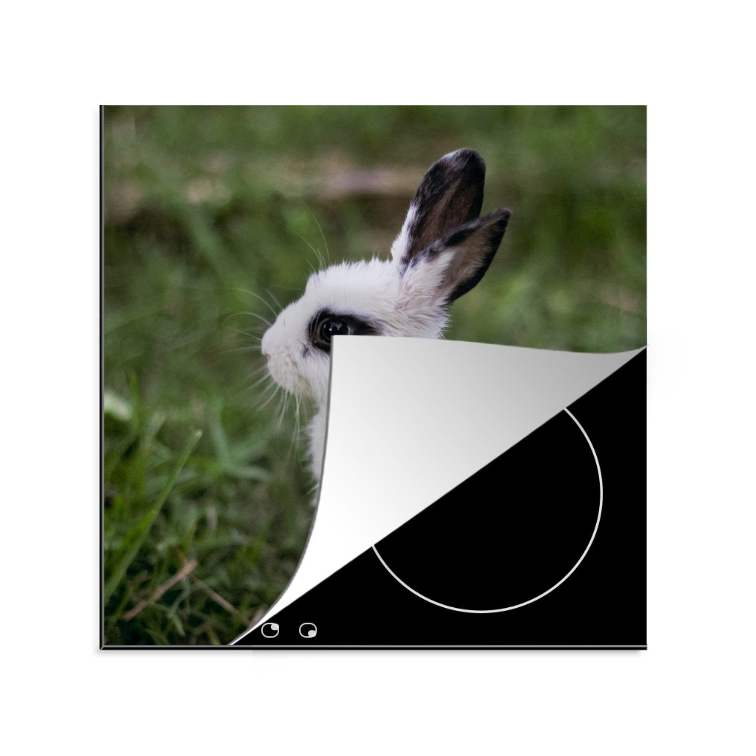 MuchoWow Herdblende-/Abdeckplatte Kaninchen - Baby - Weiß - Schwarz, Vinyl, (1 tlg), 78x78 cm, Ceranfeldabdeckung, Arbeitsplatte für küche