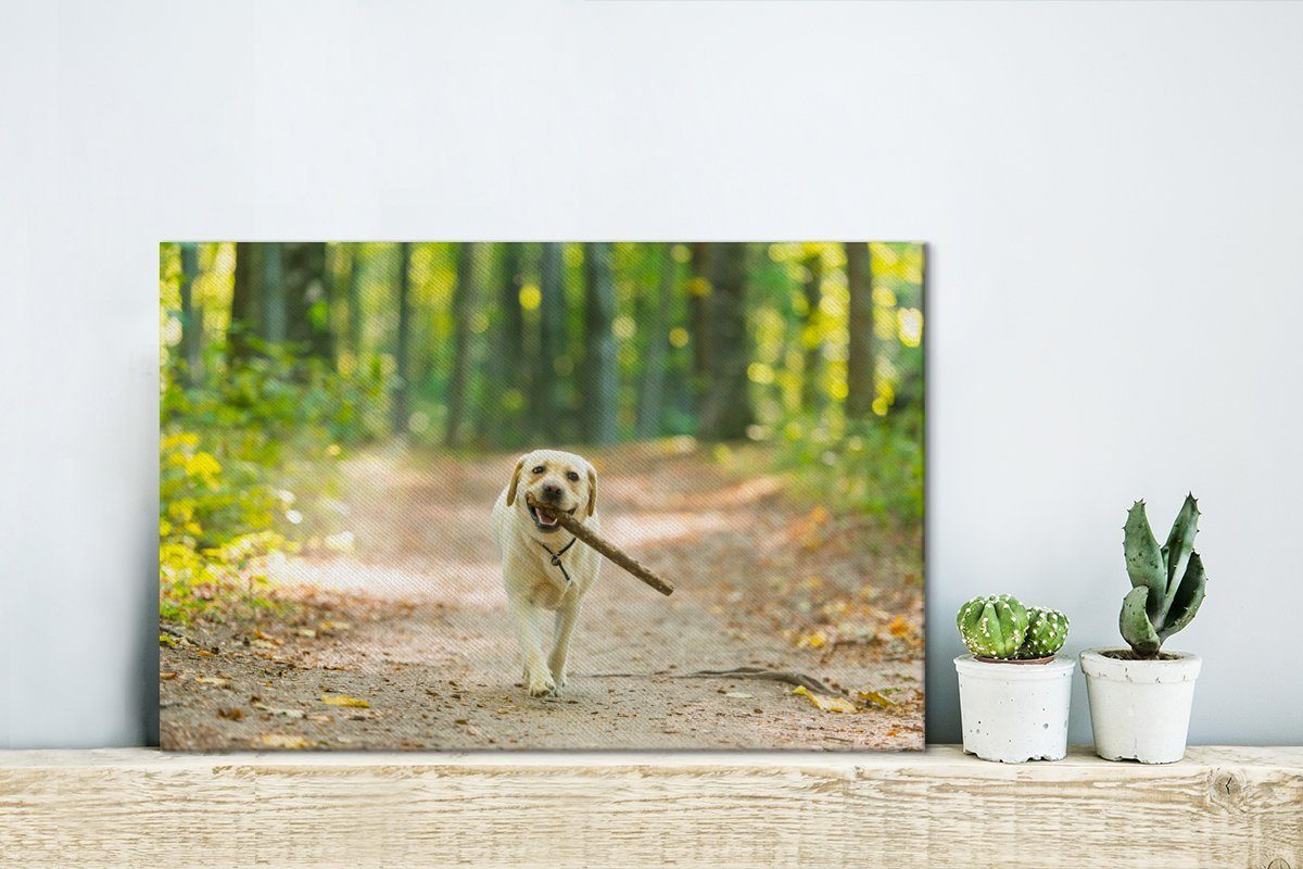 Bäume, Wandbild OneMillionCanvasses® Aufhängefertig, Wanddeko, 30x20 cm - Leinwandbilder, Leinwandbild Wald - Hund St), (1