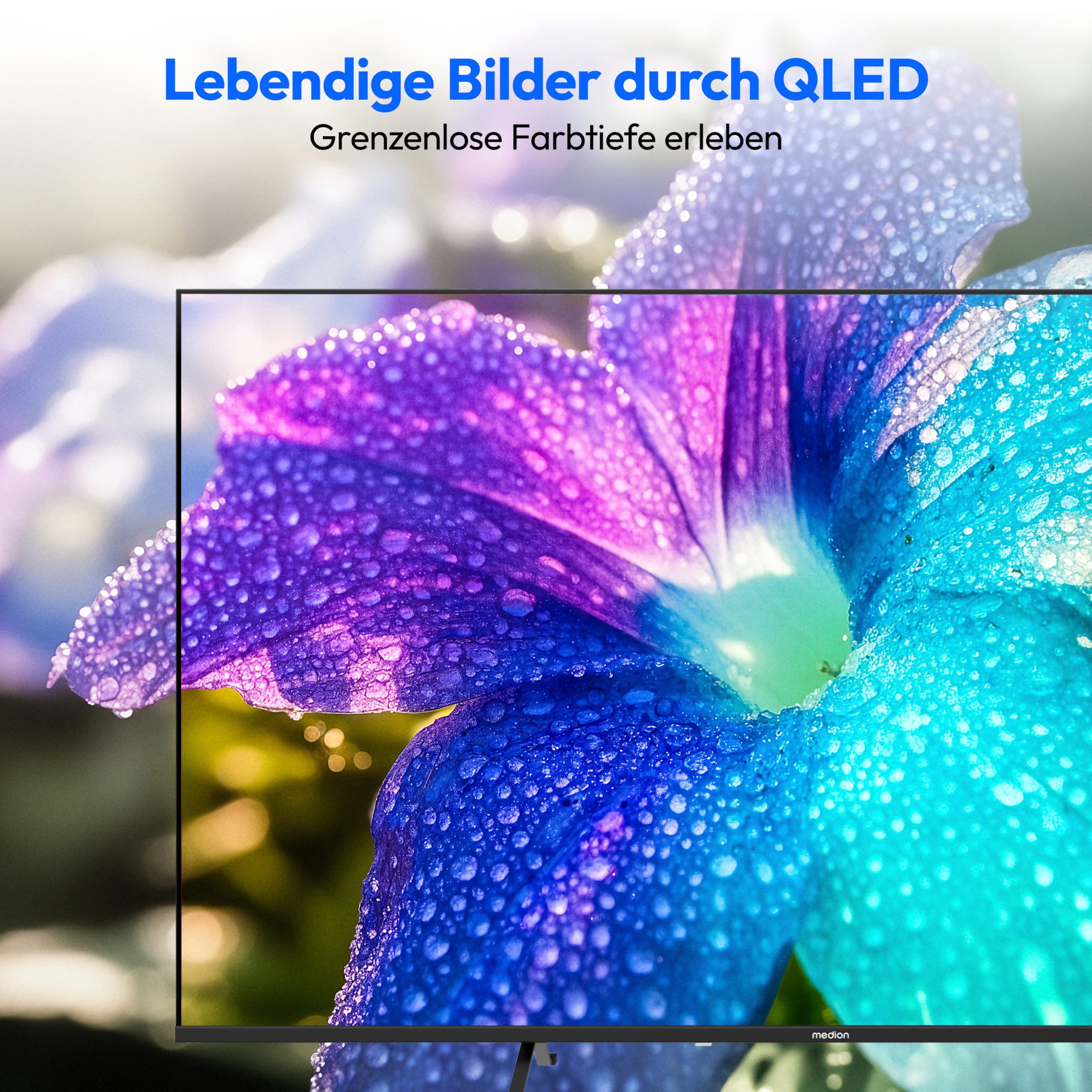 Medion® MD855602 QLED-Fernseher (138.8 cm/55 Zoll, 4K Ultra HD, Smart-TV, Dolby Vision, Dolby Atmos, Netflix, HBO Max, Prime Video, Disney+, WOW)