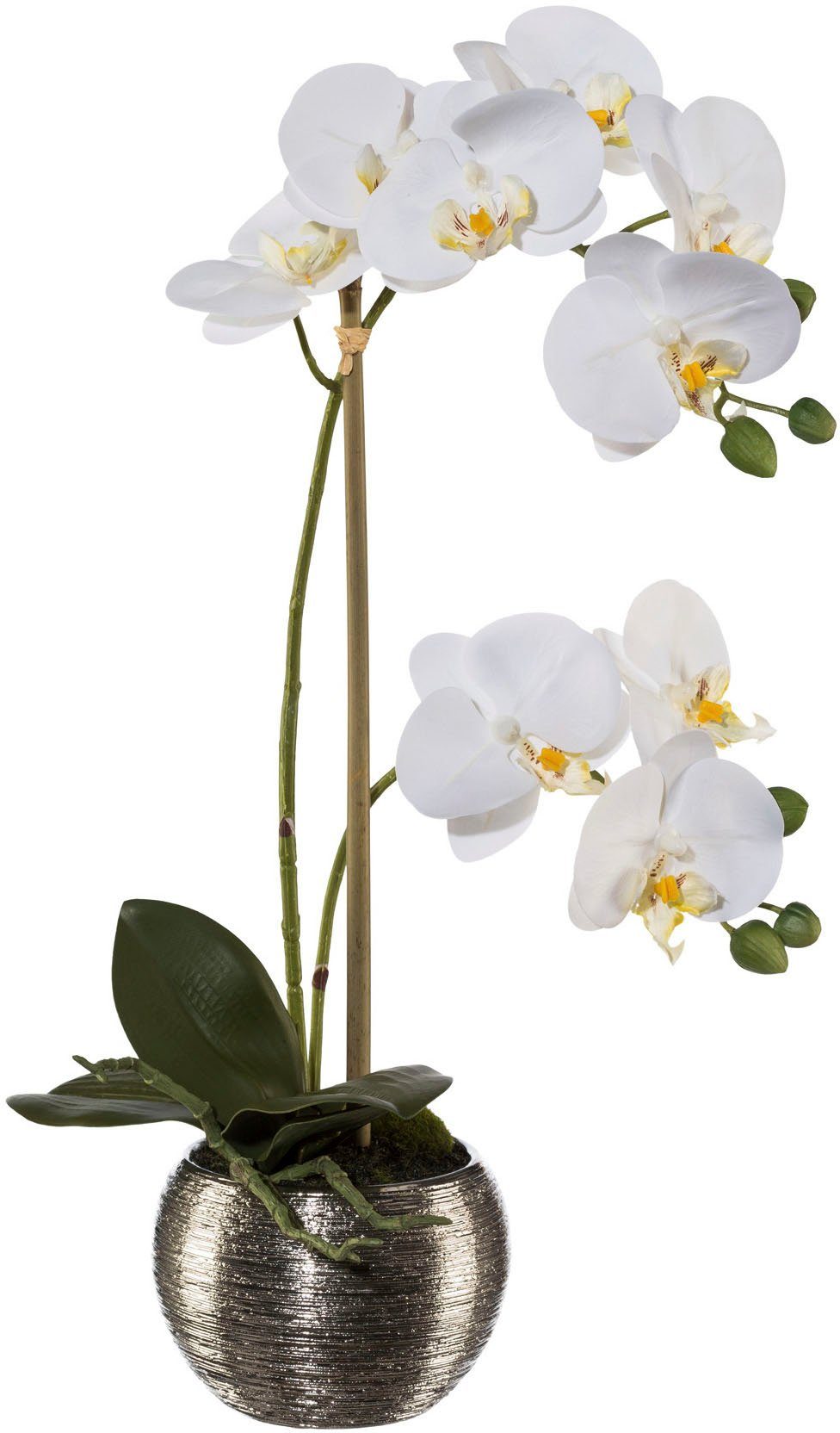 42 Kunstorchidee Höhe Orchidee Creativ im Phalaenopsis, cm, Phalaenopsis Silbertopf mit green, Real-Touch-Blüten