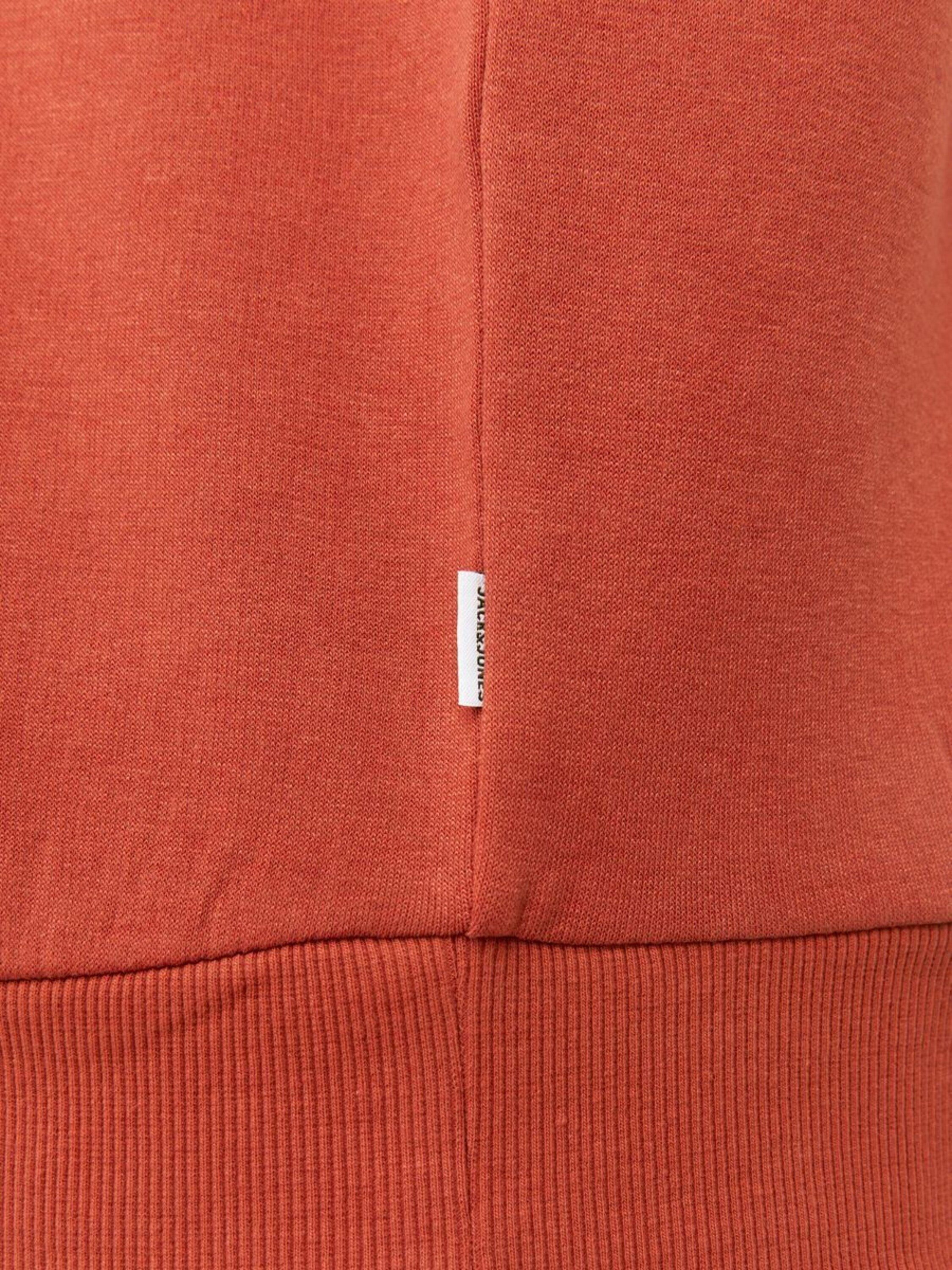 Jack & Jones PlusSize Sweatshirt (1-tlg)