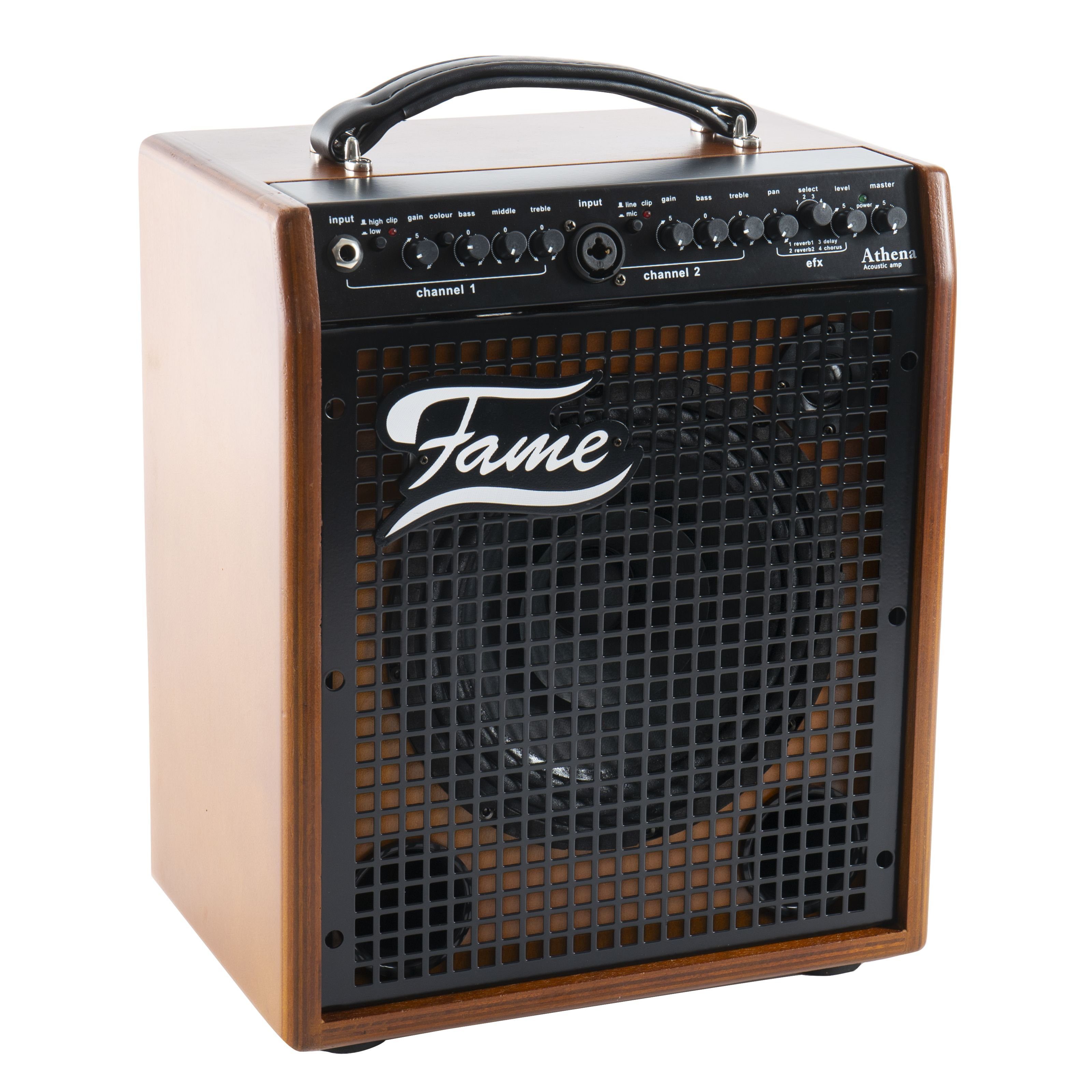 FAME Підсилювачі (Akustikgitarren-Verstärker, 2-Kanal Combo, Integrierte Effekte)