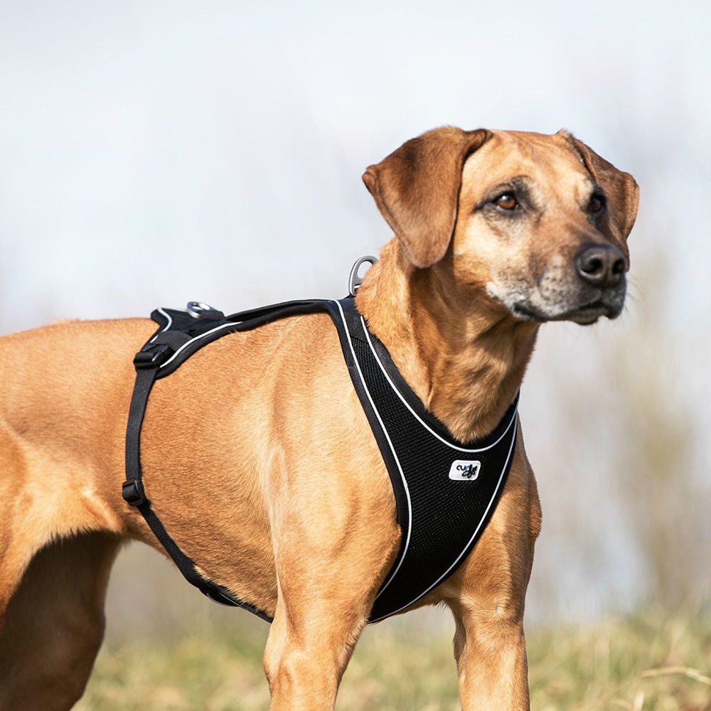 Curli Hunde-Geschirr Belka Comfort Geschirr, 100% Nylon
