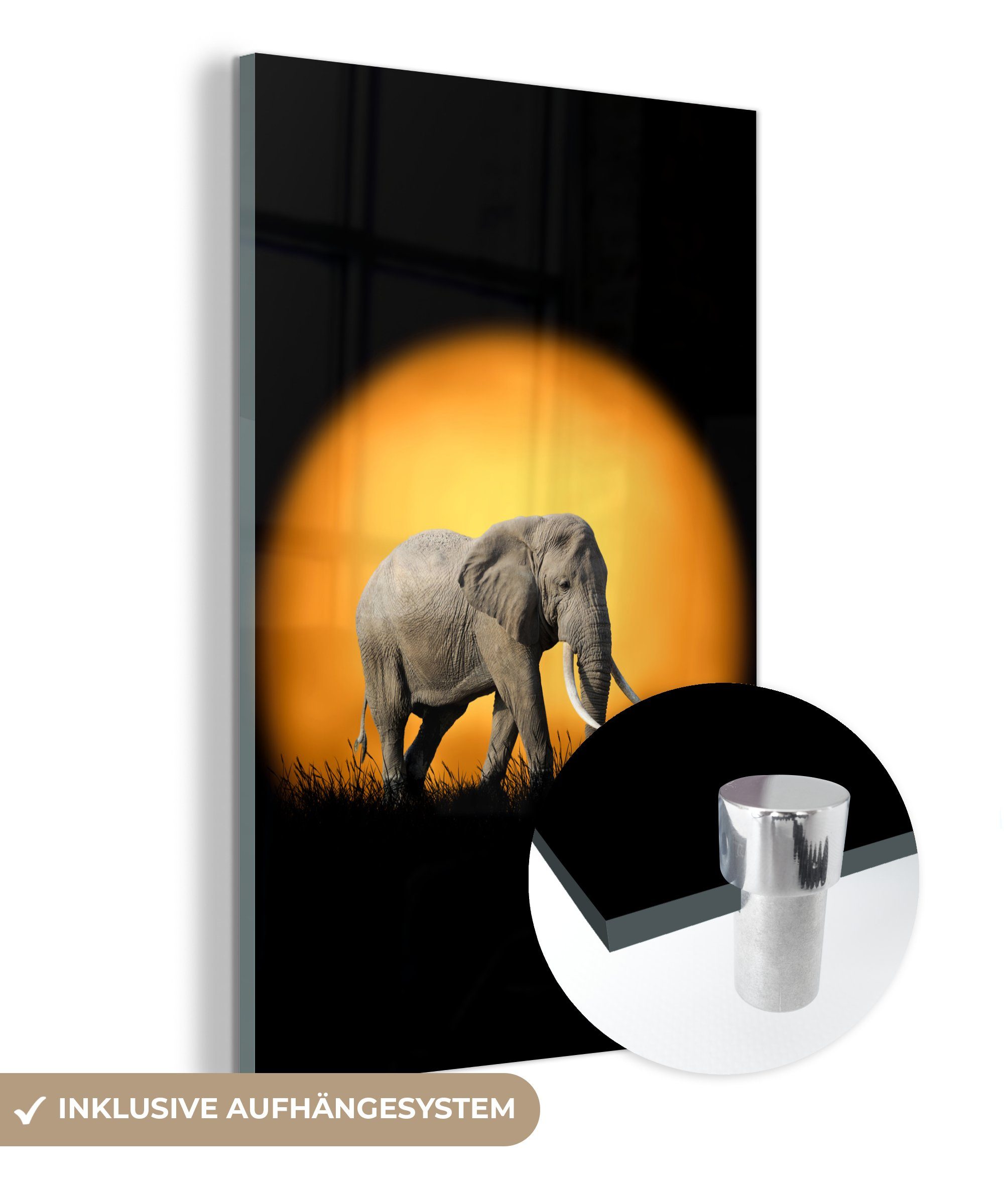 MuchoWow Acrylglasbild Elefant Foto (1 Glas St), Glas Bilder Glasbilder - auf auf Sonne - - Wandbild - - Wanddekoration Orange