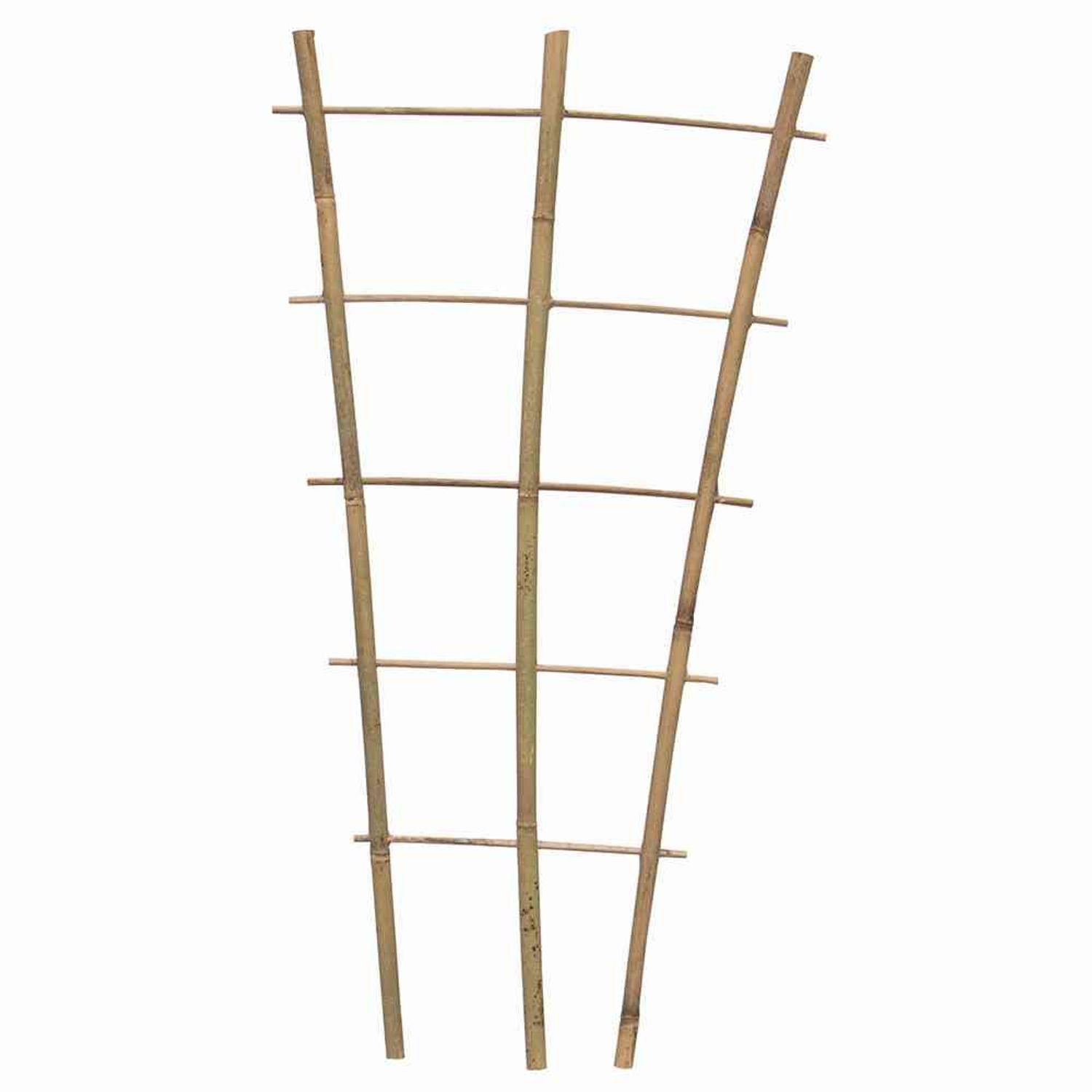 Siena Garden Rankgitter Bambus Rankgitter 60 günstig online kaufen