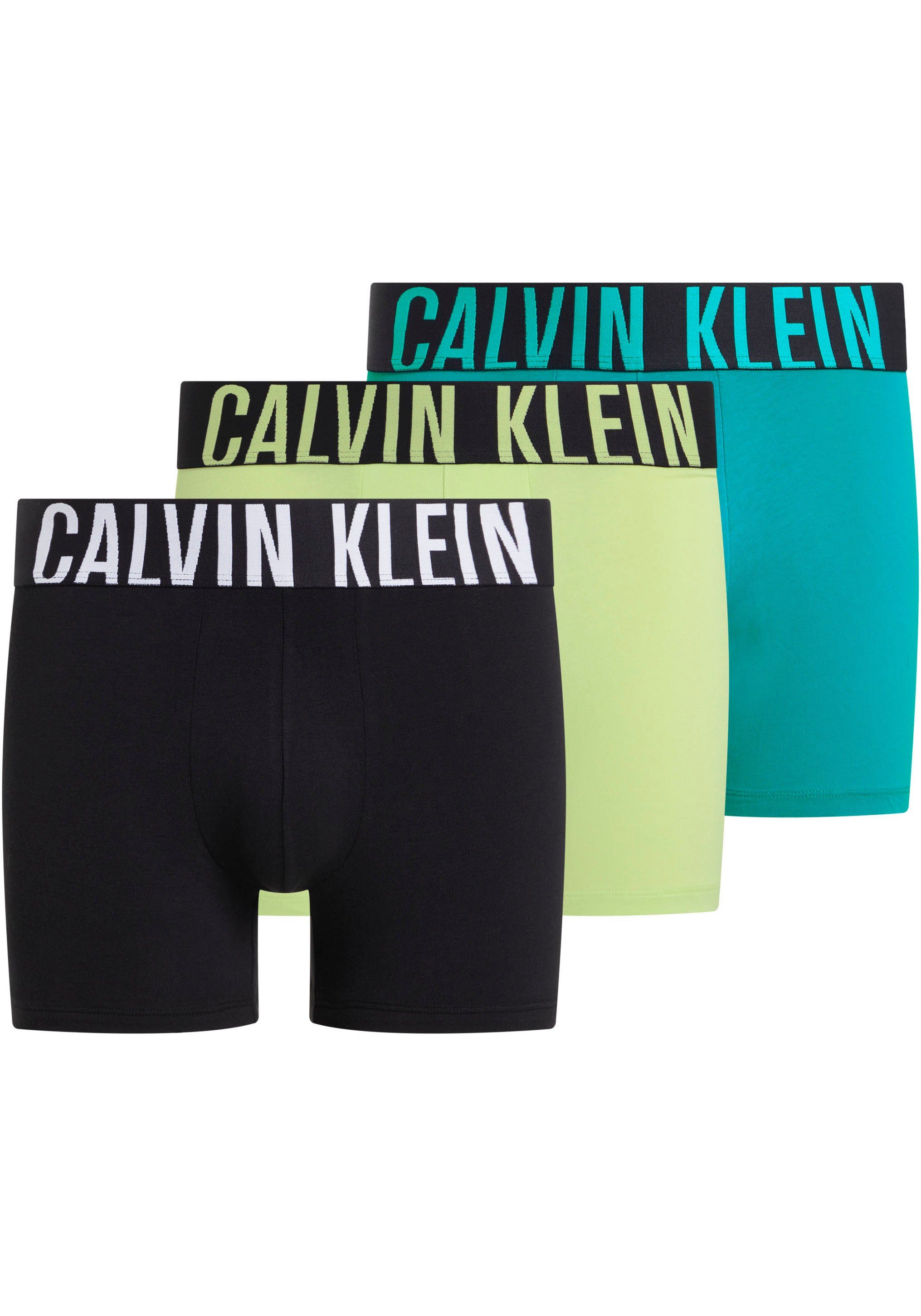 Calvin Klein Underwear Boxer BOXER BRIEF 3PK (Packung, 3-St., 3er) mit Logo-Stretchbund