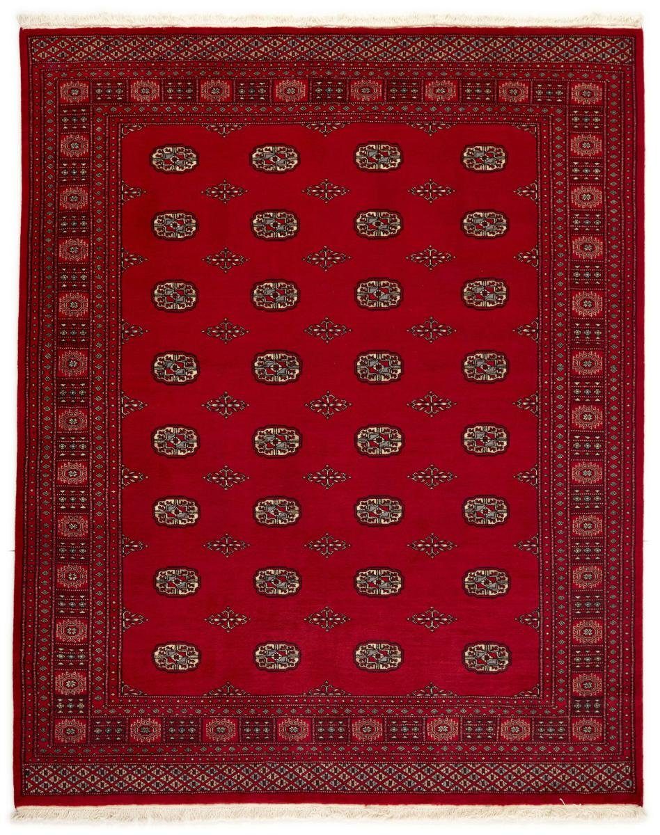 Orientteppich Pakistan Buchara 2ply 202x251 Handgeknüpfter Orientteppich, Nain Trading, rechteckig, Höhe: 8 mm