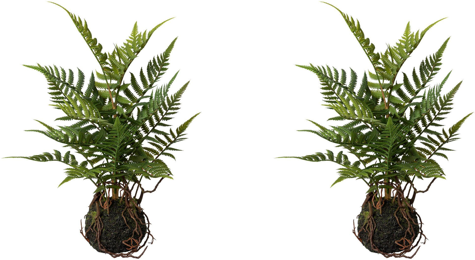 Künstliche Zimmerpflanze Farn im Ballen Farn, Creativ green, Höhe 38 cm