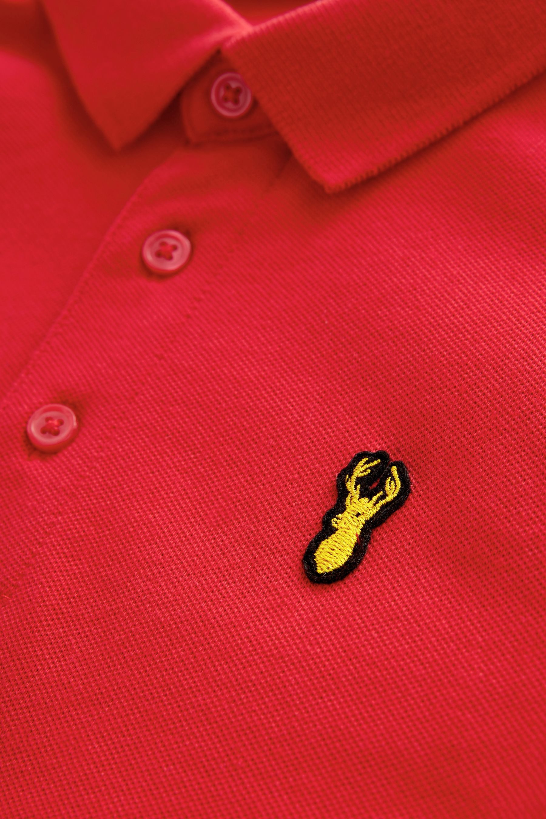 Next Poloshirt Kurzärmeliges Polo-Shirt (1-tlg)