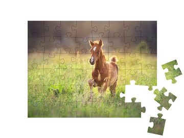 puzzleYOU Puzzle Fohlen beim Galopp über die Weide, 48 Puzzleteile, puzzleYOU-Kollektionen Fohlen, Pferde