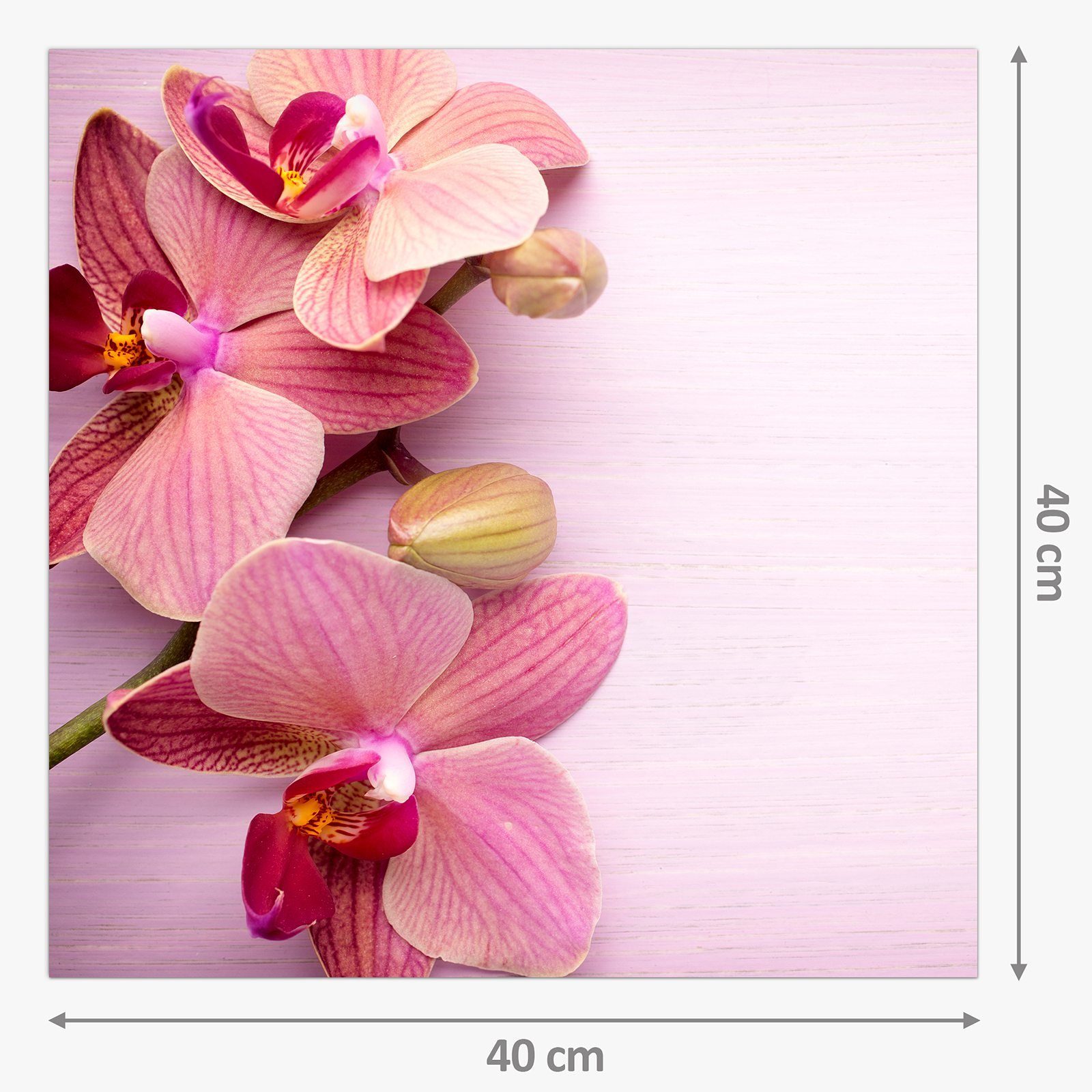 Primedeco Orchideenrand Glas Spritzschutz Küchenrückwand