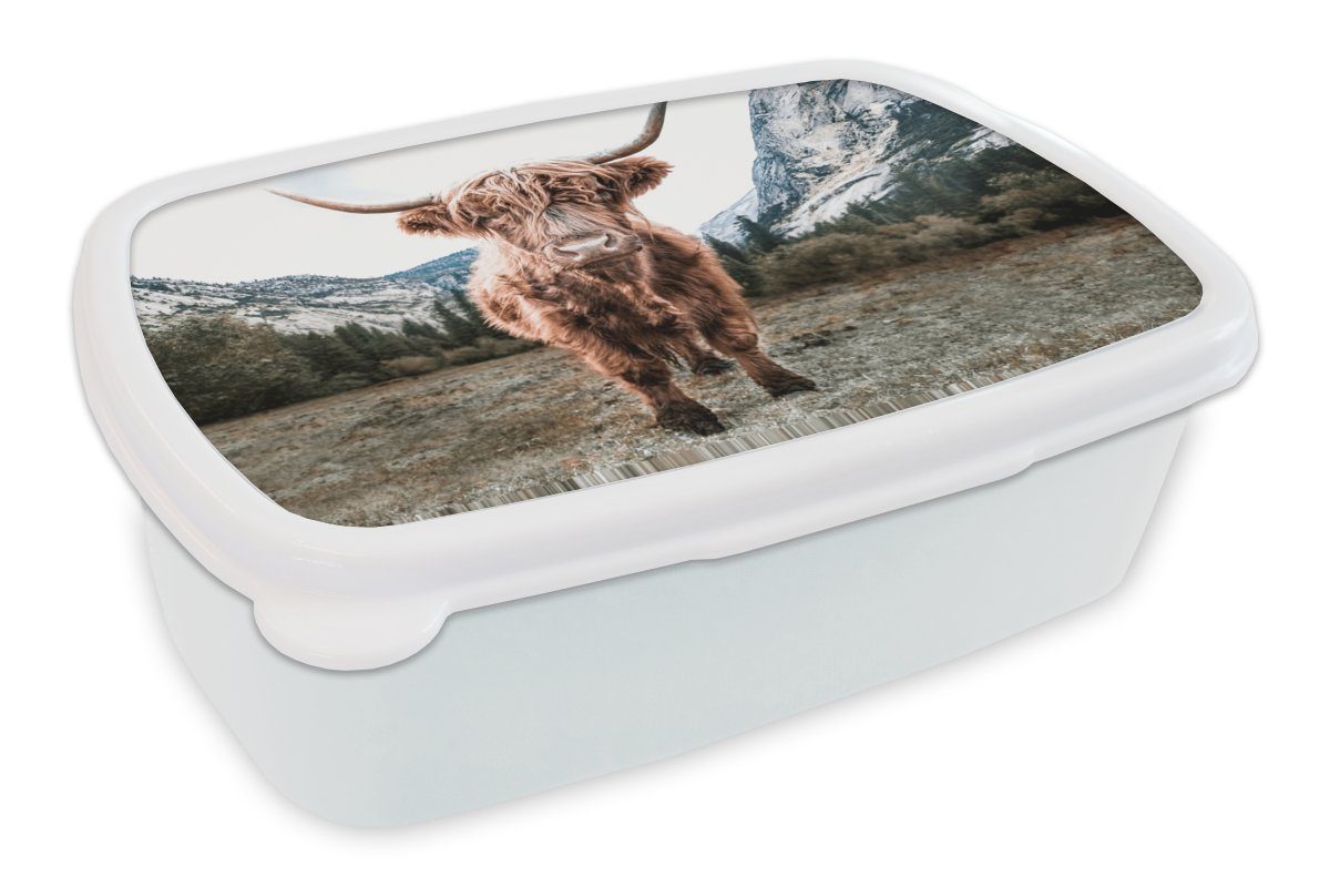 MuchoWow Lunchbox Schottischer Highlander - Berg - Tiere, Kunststoff, (2-tlg), Brotbox für Kinder und Erwachsene, Brotdose, für Jungs und Mädchen weiß