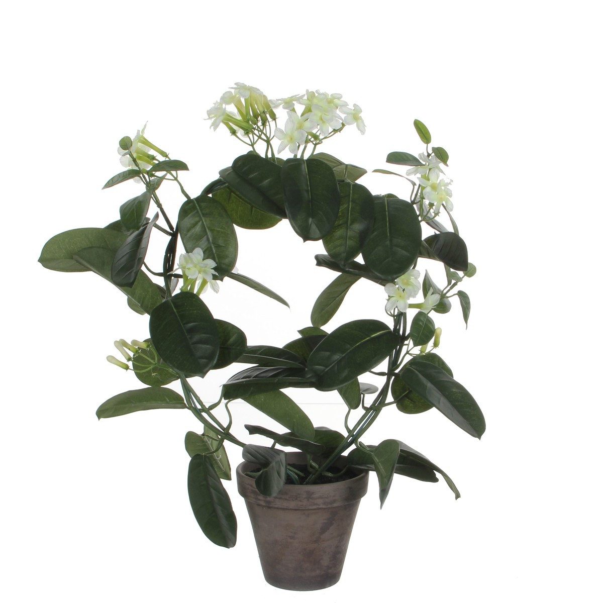 Kunstpflanze Mica Decorations Stephanotis weiss in Topf Stan grau d13,5cm - h50xd40, Mica Decorations, Höhe 50 cm