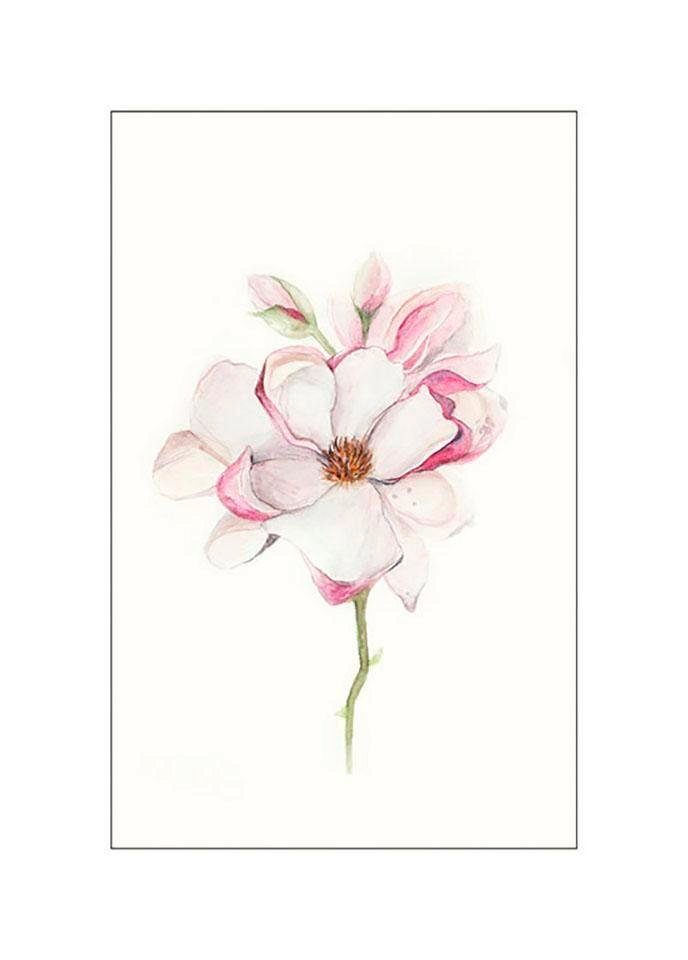 Komar Bild Magnolia Blossom, Blumen (1 St), Wandbild zur Dekoration - ohne Rahmen