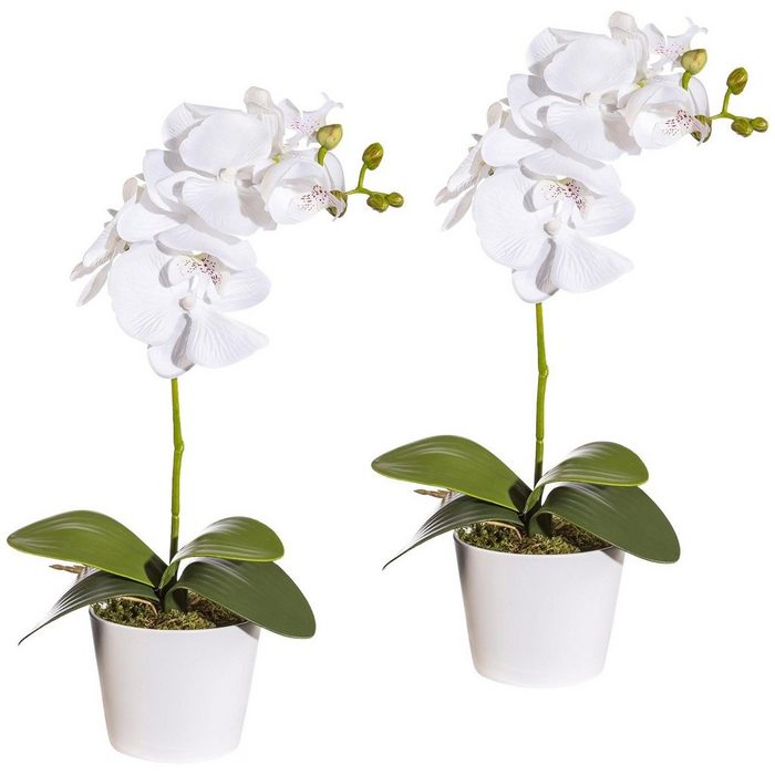 Kunstpflanze Orchidee Phalaenopsis Orchidee Creativ green Höhe 40 cm im Keramiktopf