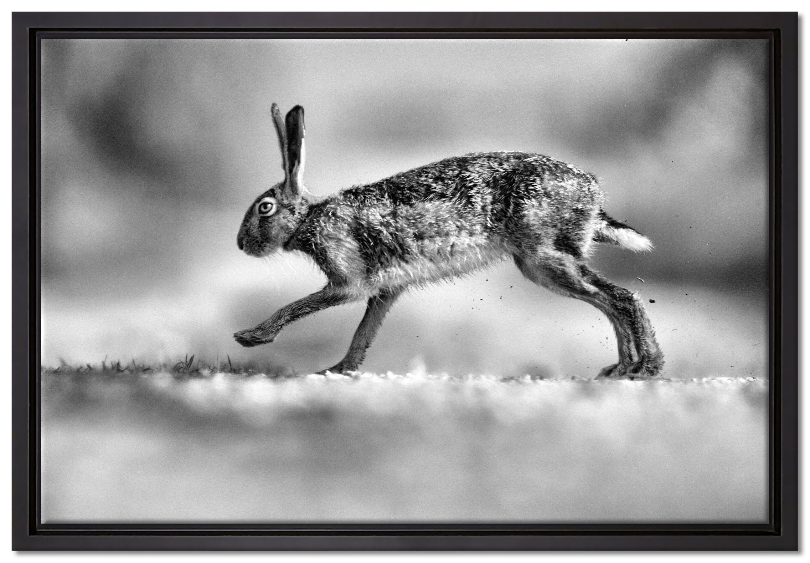 Pixxprint Leinwandbild Hüpfender Hase, Wanddekoration (1 St), Leinwandbild fertig bespannt, in einem Schattenfugen-Bilderrahmen gefasst, inkl. Zackenaufhänger