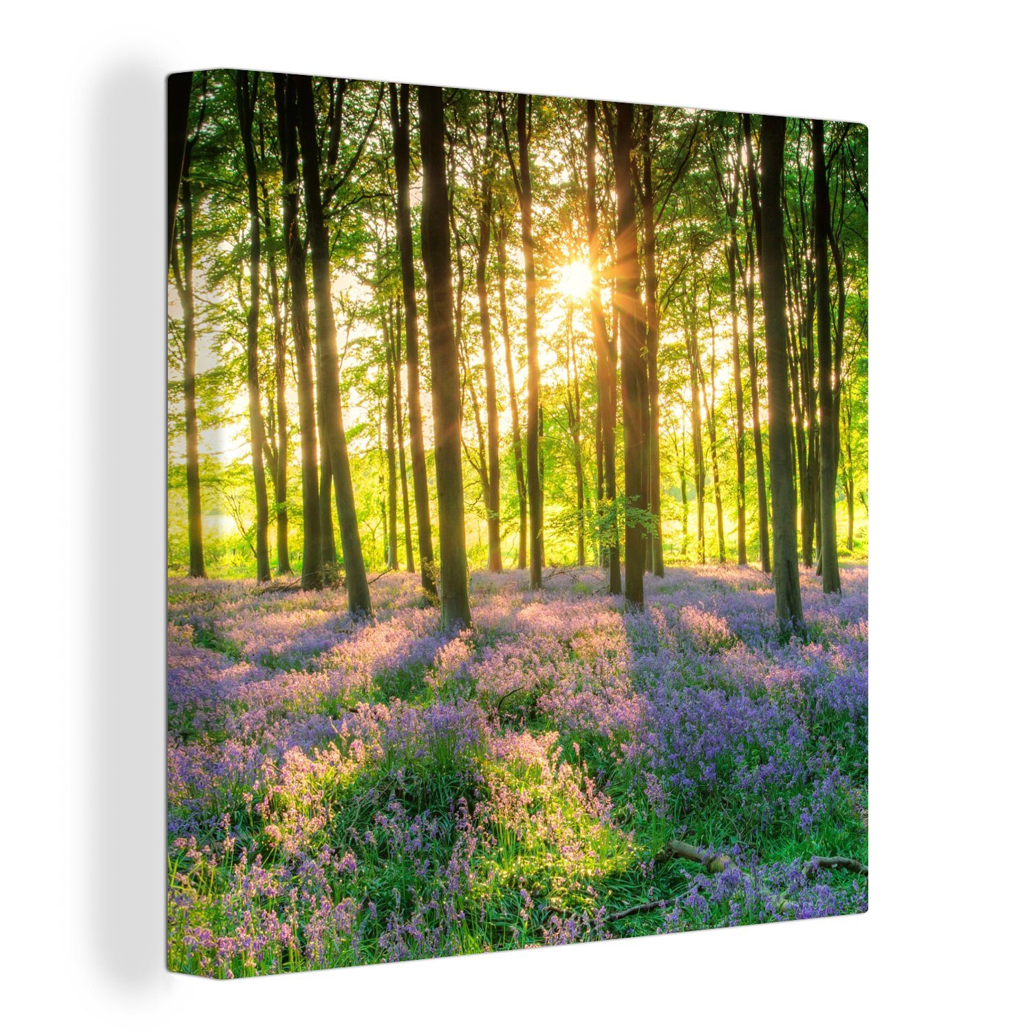 OneMillionCanvasses® Leinwandbild Frühling - Wald - günstig online kaufen