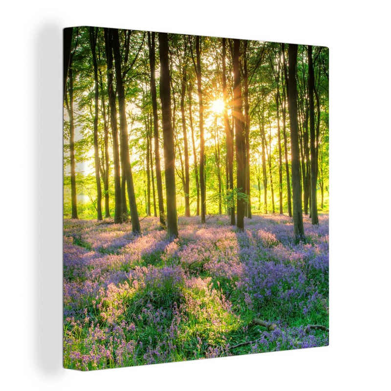 OneMillionCanvasses® Leinwandbild Frühling - Wald - Sonne, (1 St), Leinwand Bilder für Wohnzimmer Schlafzimmer