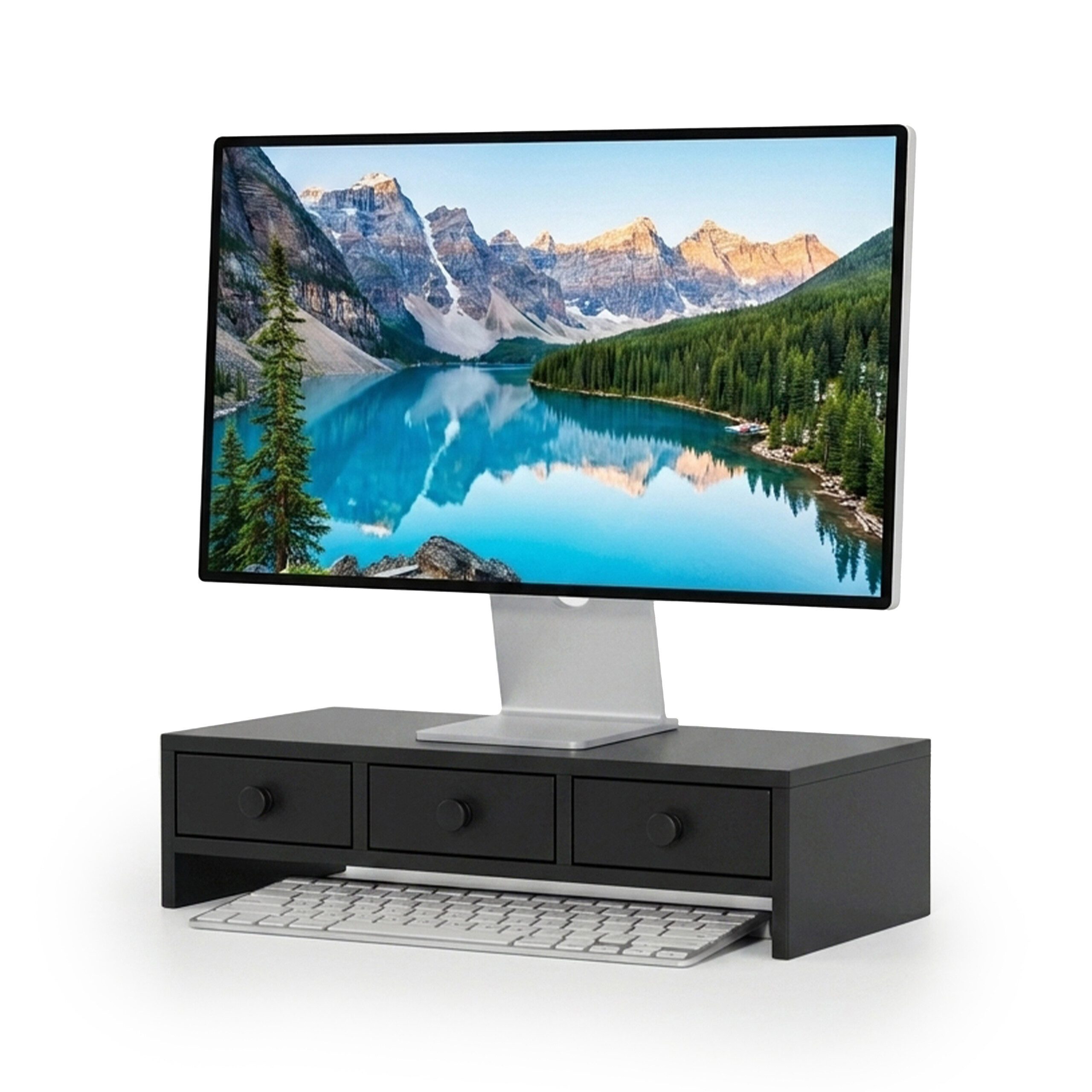 vidaXL Monitorständer Schwarz 100x27x20 cm vidaXL Monitorständer Schwarz 100x27x20 cm