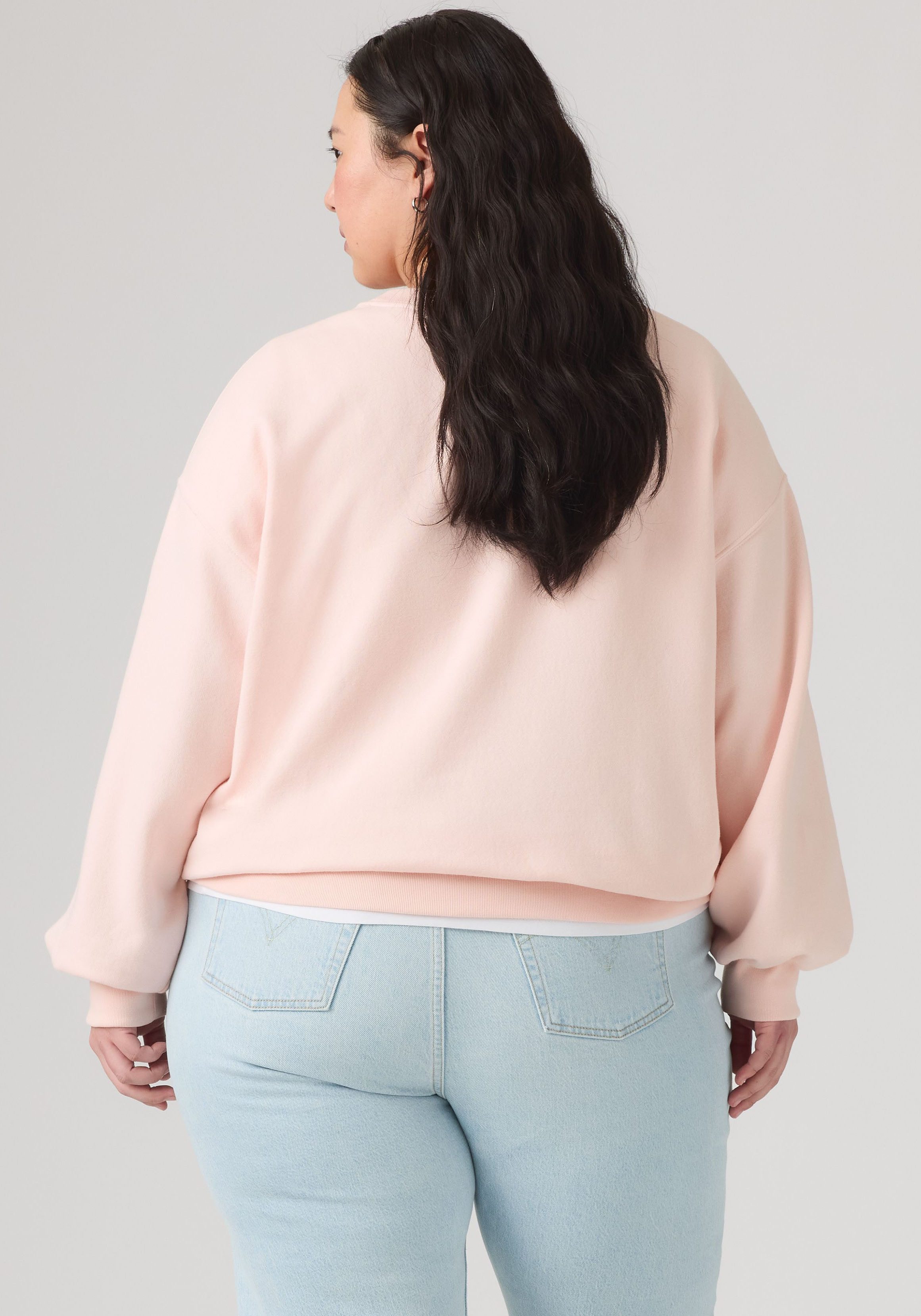 Levi's® Plus Sweatshirt PL EVERYDAY CREW SWEATSHIRT Baumwollmix