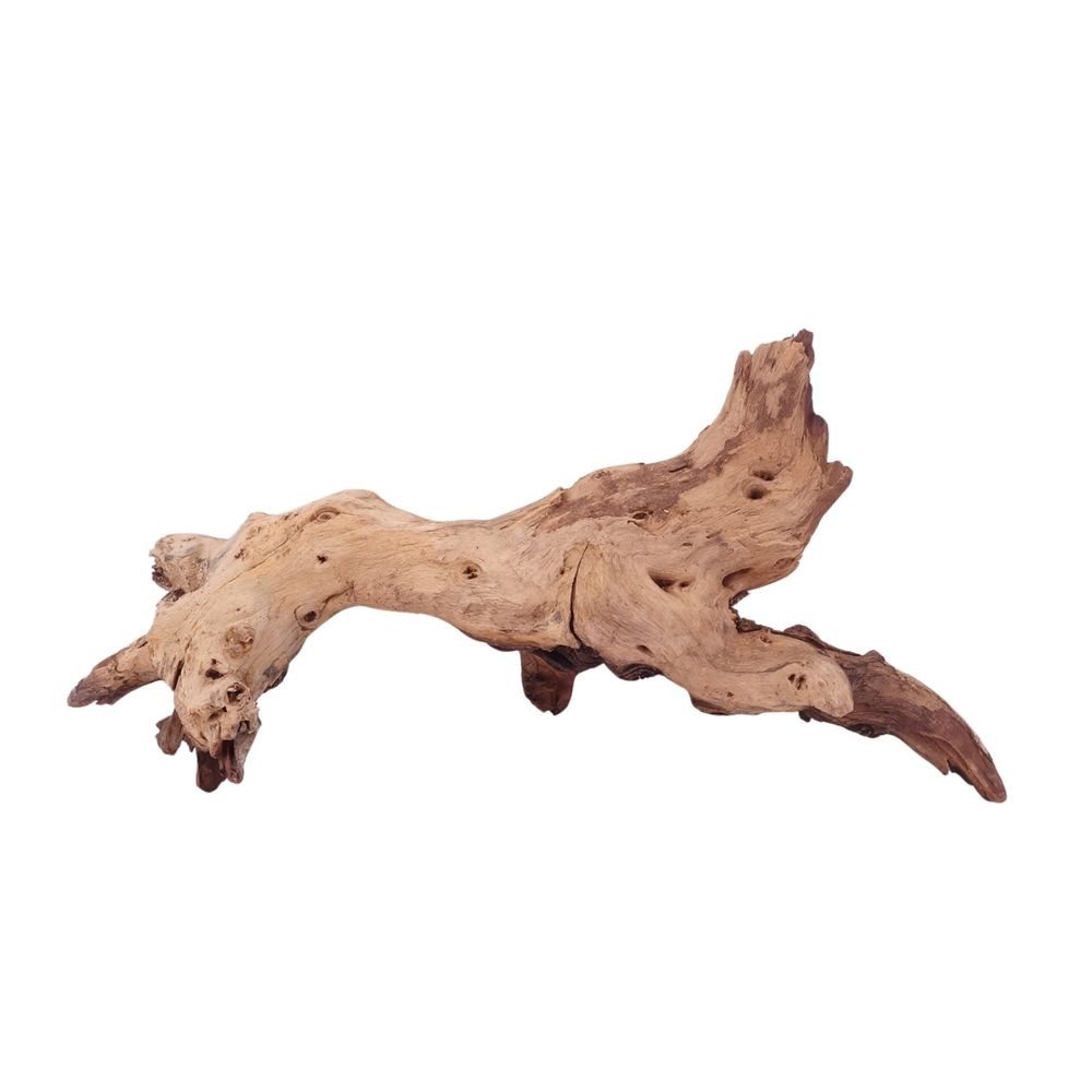 Aquaone Aquarium L Mopani Wurzel Nr.4704 Holz Deko Aquascaping
