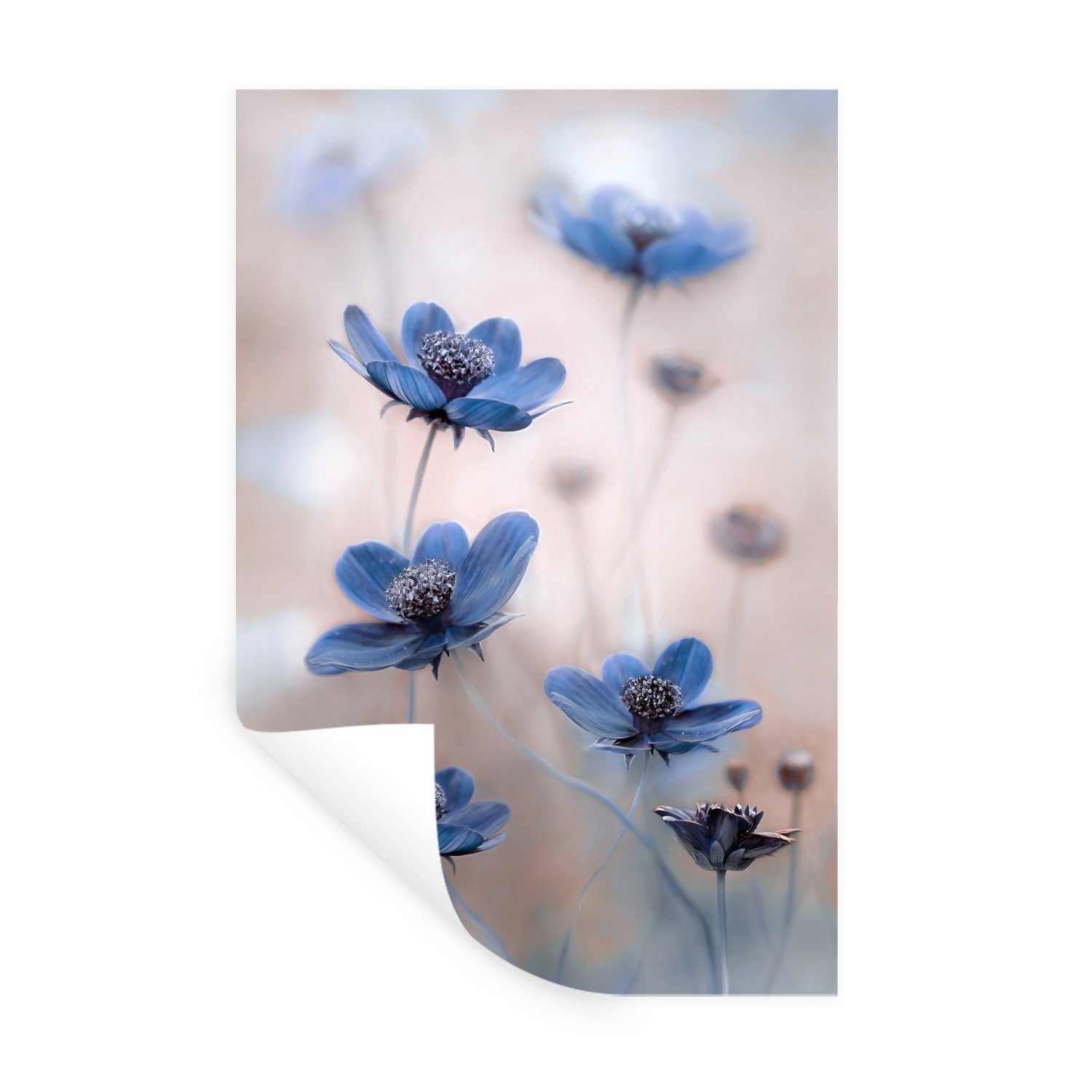 Wandtattoo, Natur MuchoWow Blau - - St), Wohnzimmer, Blumen Wandsticker Selbstklebend, - (1 Kosmos Wandaufkleber, Schlafzimmer