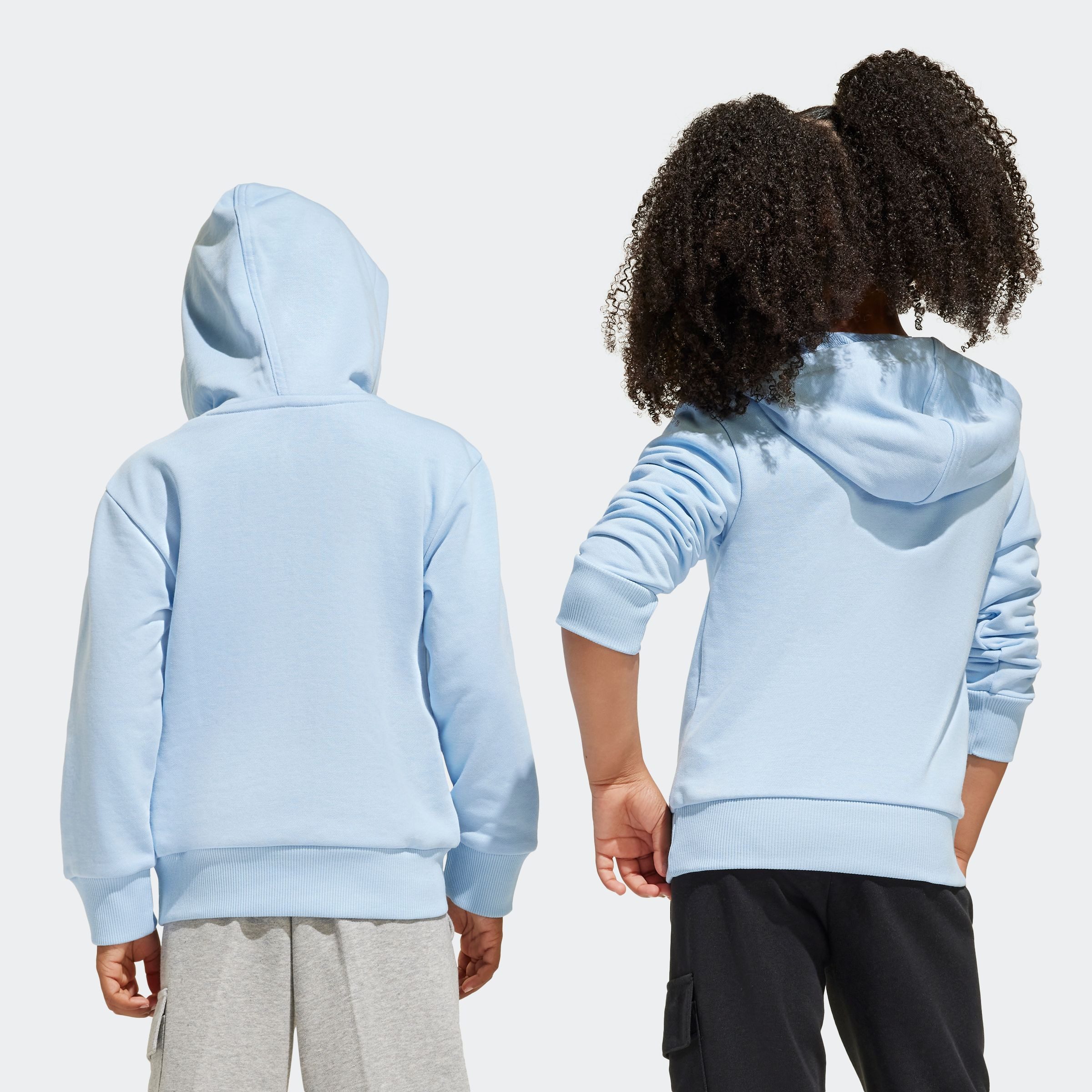 adidas Sportswear Kapuzensweatshirt LK BL FT HD