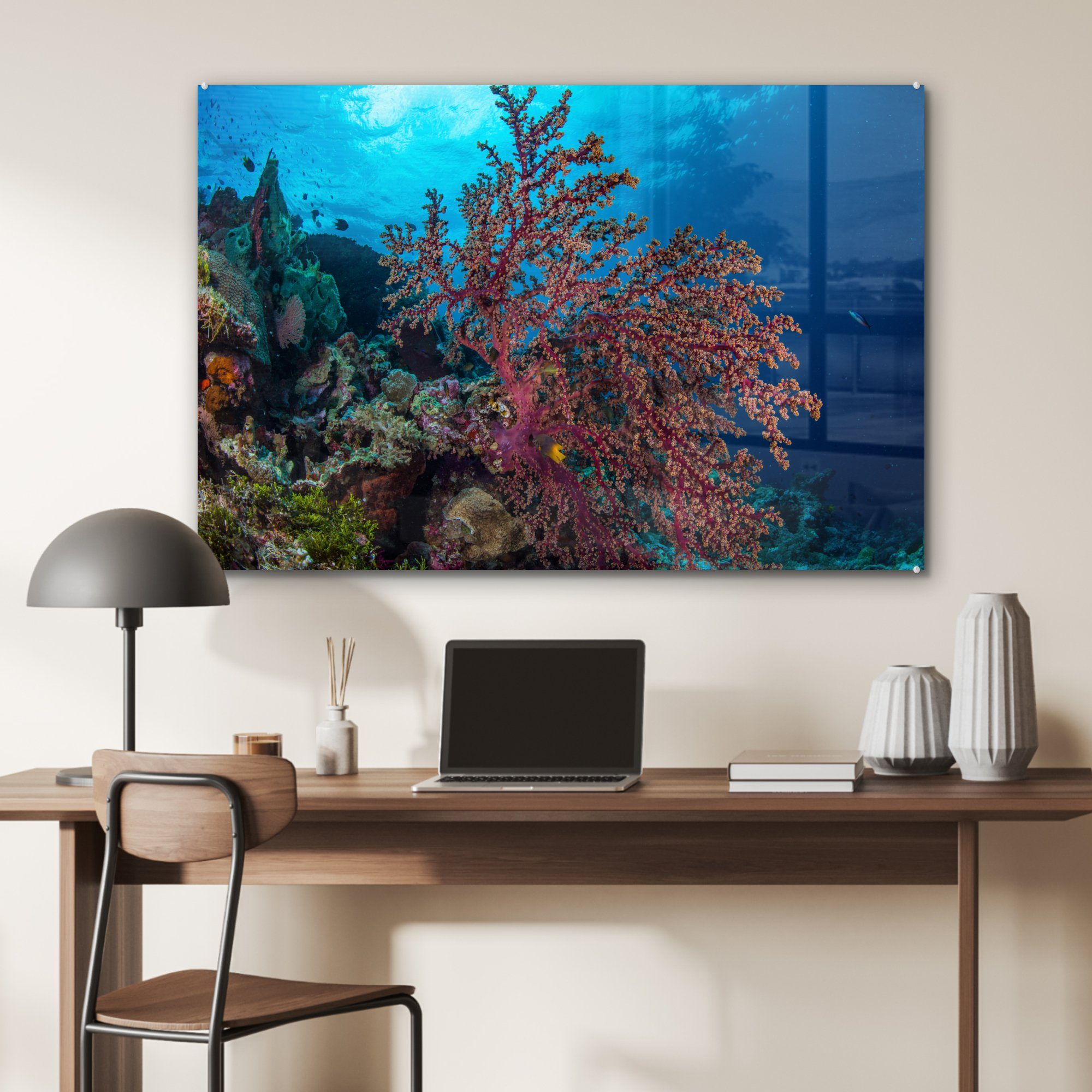 Wakatobi-Nationalpark, MuchoWow Koralle (1 Acrylglasbild einer im St), Schlafzimmer & Wohnzimmer Acrylglasbilder Nahaufnahme