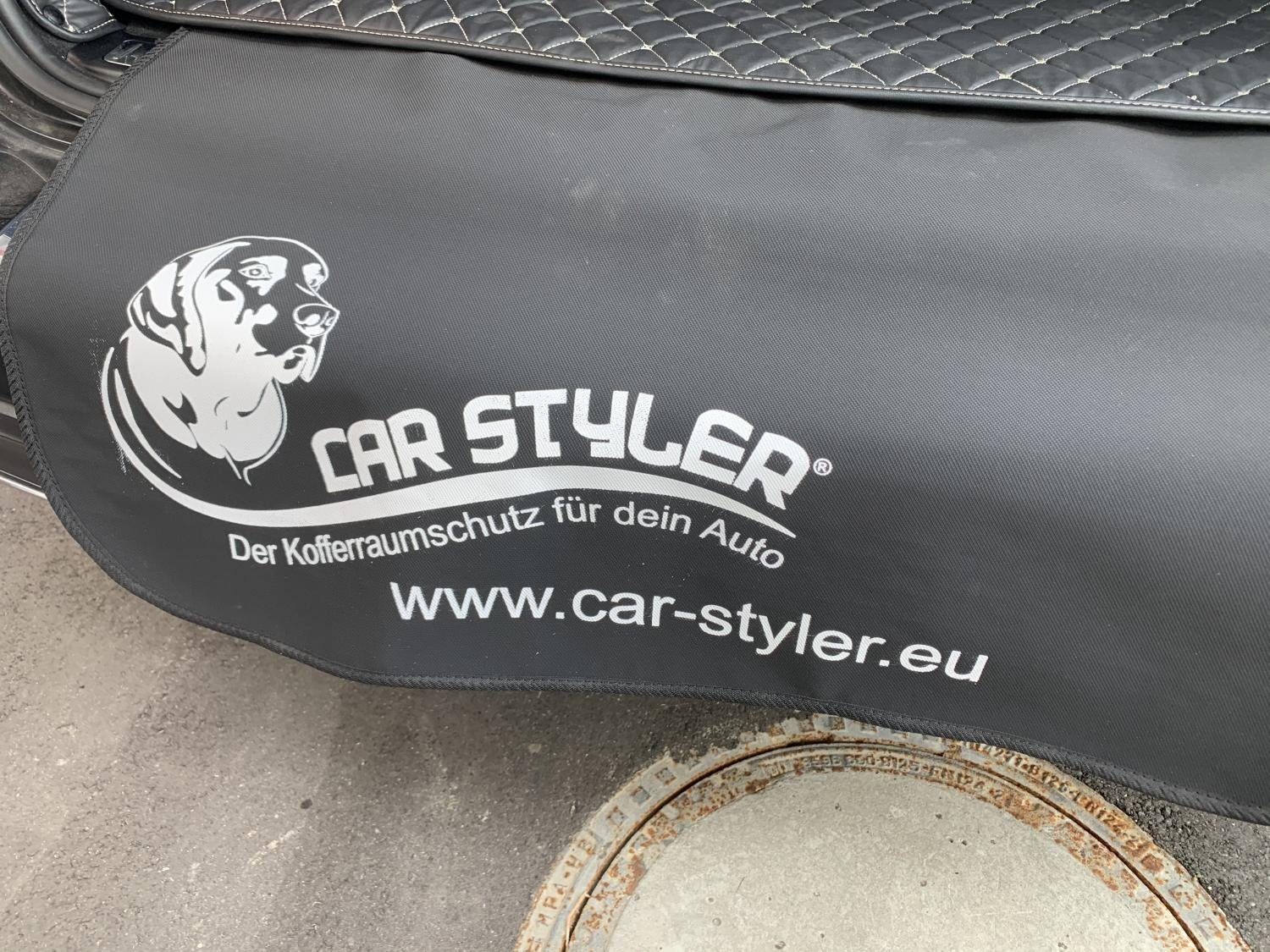 CARSTYLER® Hundematte CARSTYLER® Exklusive Kofferraummatte für Tesla Model  S Leder Schwarz Faden Beige