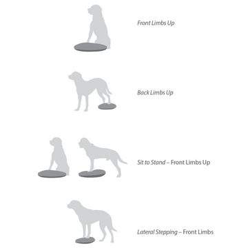 FitPAWS Agility-Hürde Balance-Scheibe für Haustiere 36 cm Razzleberry, Plastik