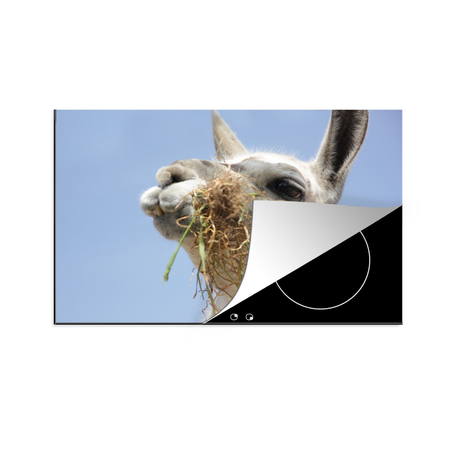 MuchoWow Herdblende-/Abdeckplatte Alpaka - Tier - Lebensmittel, Vinyl, (1 tlg), 81x52 cm, Induktionskochfeld Schutz für die küche, Ceranfeldabdeckung