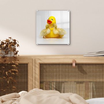 MuchoWow Acrylglasbild Bade-Ente mit zwei Baby-Enten auf weißem Hintergrund, (1 St), Glasbilder - Bilder auf Glas Wandbild - Foto auf Glas - Wanddekoration