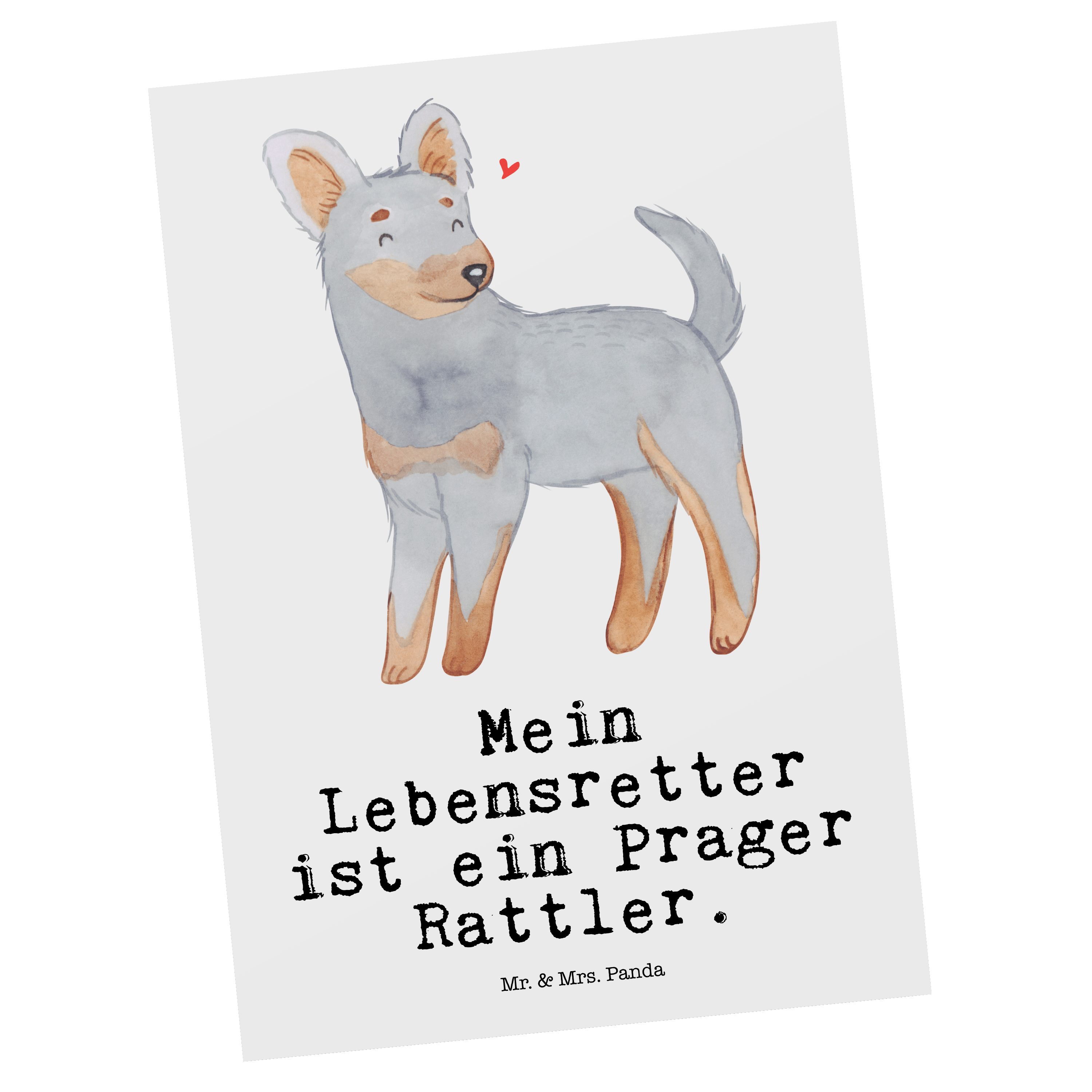 Mr. & Mrs. Panda Postkarte Prager Rattler Lebensretter - Weiß - Geschenk, Grußkarte, Geburtstags
