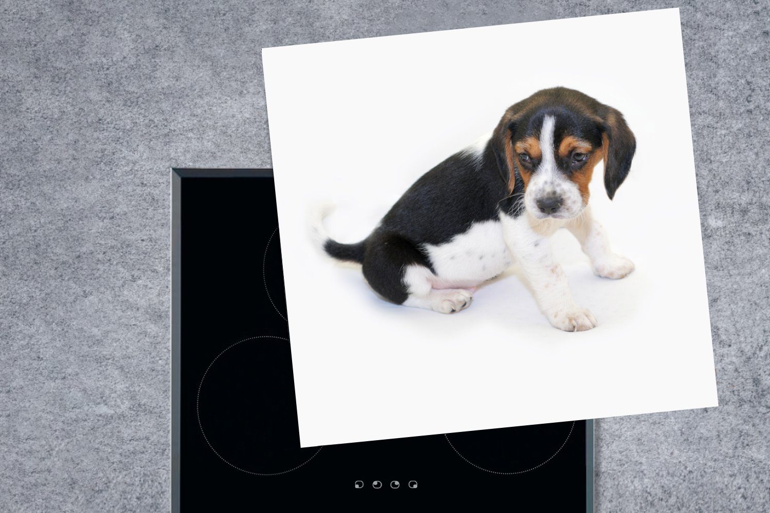 MuchoWow Herdblende-/Abdeckplatte Welpe tlg), (1 78x78 - Ceranfeldabdeckung, küche Beagle cm, Braun - Weiß, Vinyl, für Arbeitsplatte 