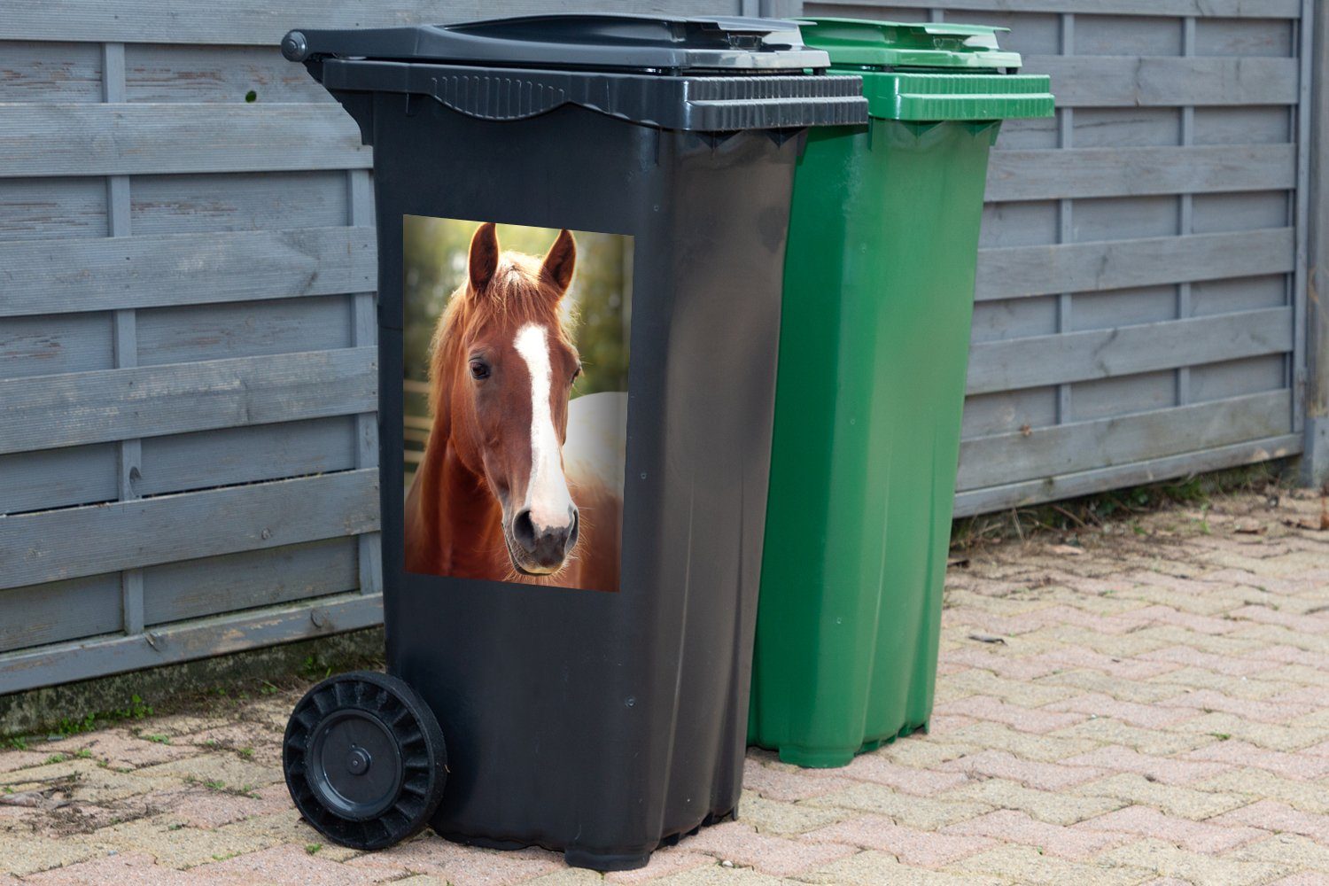 Pferd Mülleimer-aufkleber, Mülltonne, - Kontur Abfalbehälter Container, Wandsticker St), - (1 MuchoWow Sticker, Tier