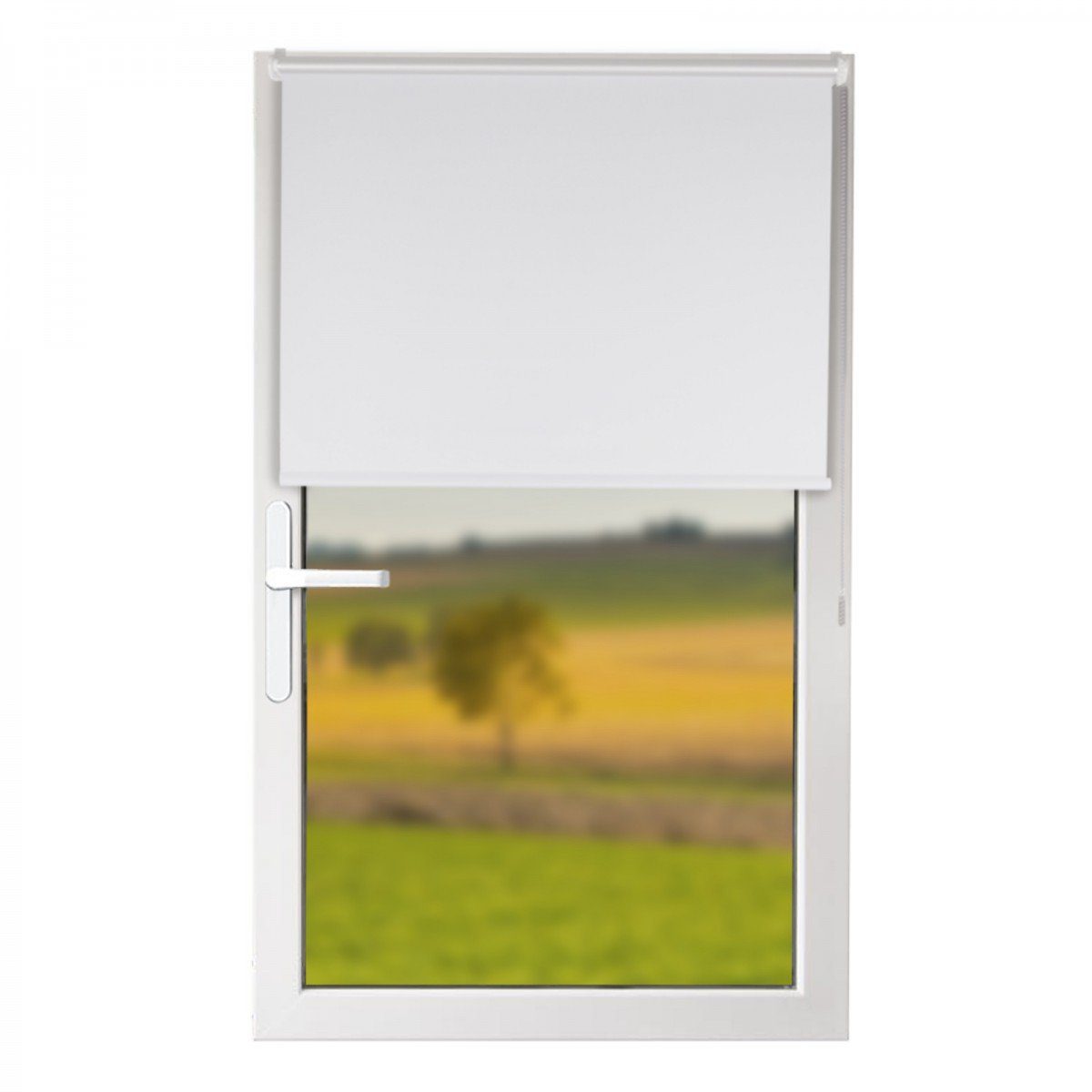 Verdunklungsrollo Klemmfix-Verdunkelungsrollo für Fenster, bonsport, 50 günstig online kaufen