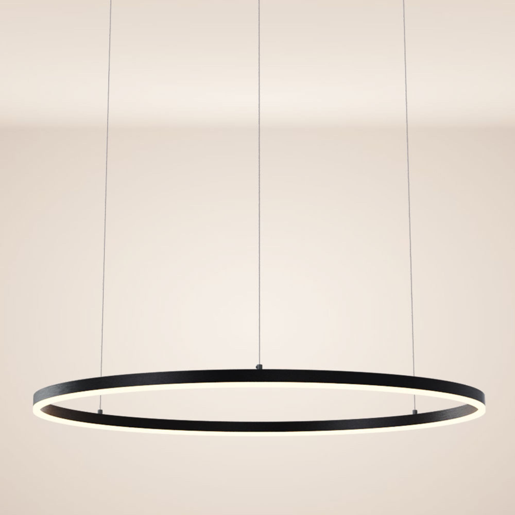 s.luce Pendelleuchte LED Pendelleuchte Ring 100 direkt oder indirekt 5m Abhängung Schwarz, Warmweiß