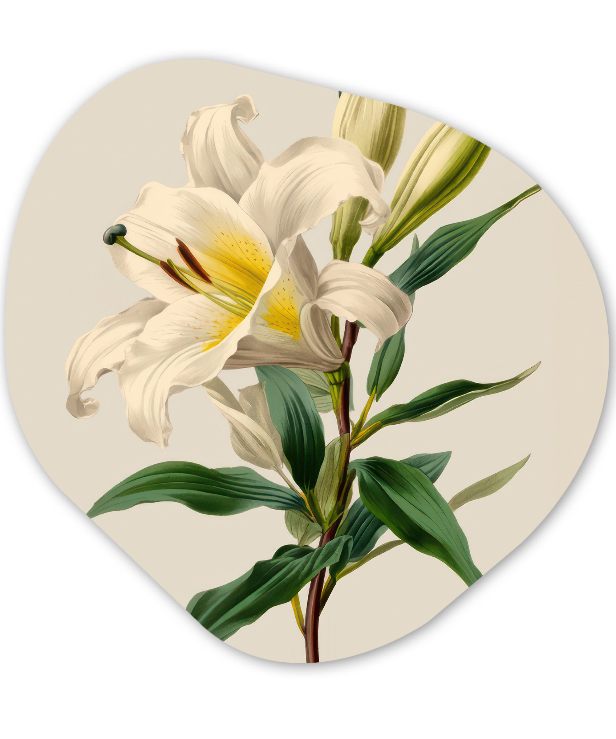 MuchoWow Gemälde Lilie - Elegant - Botanisch - Beige, Fotodruck (1 St), Wandbild Abstrakt, Wohnzimmer Schlafzimmer Wanddekoration, 40x40 cm
